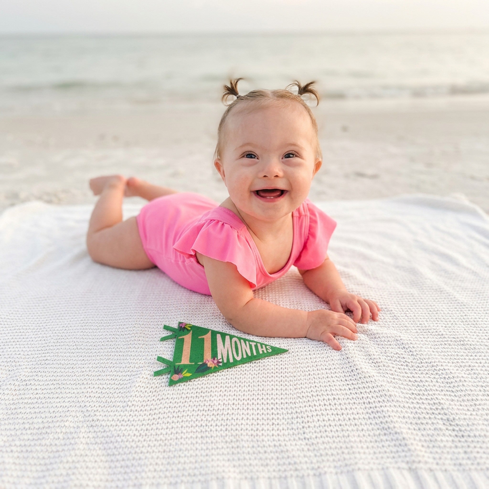 Little Artist Petit Milestone Pennants