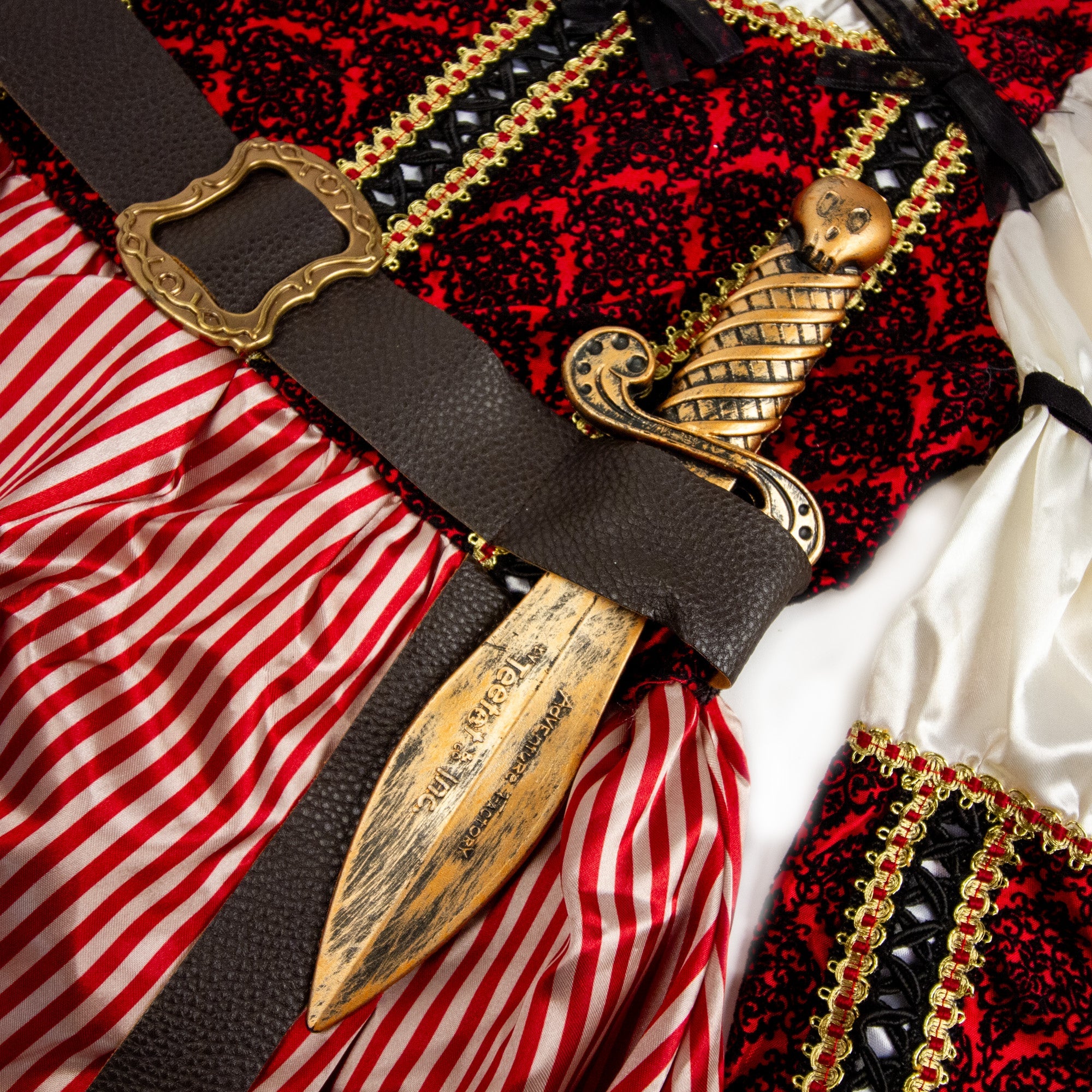 Pirate Queen Costume