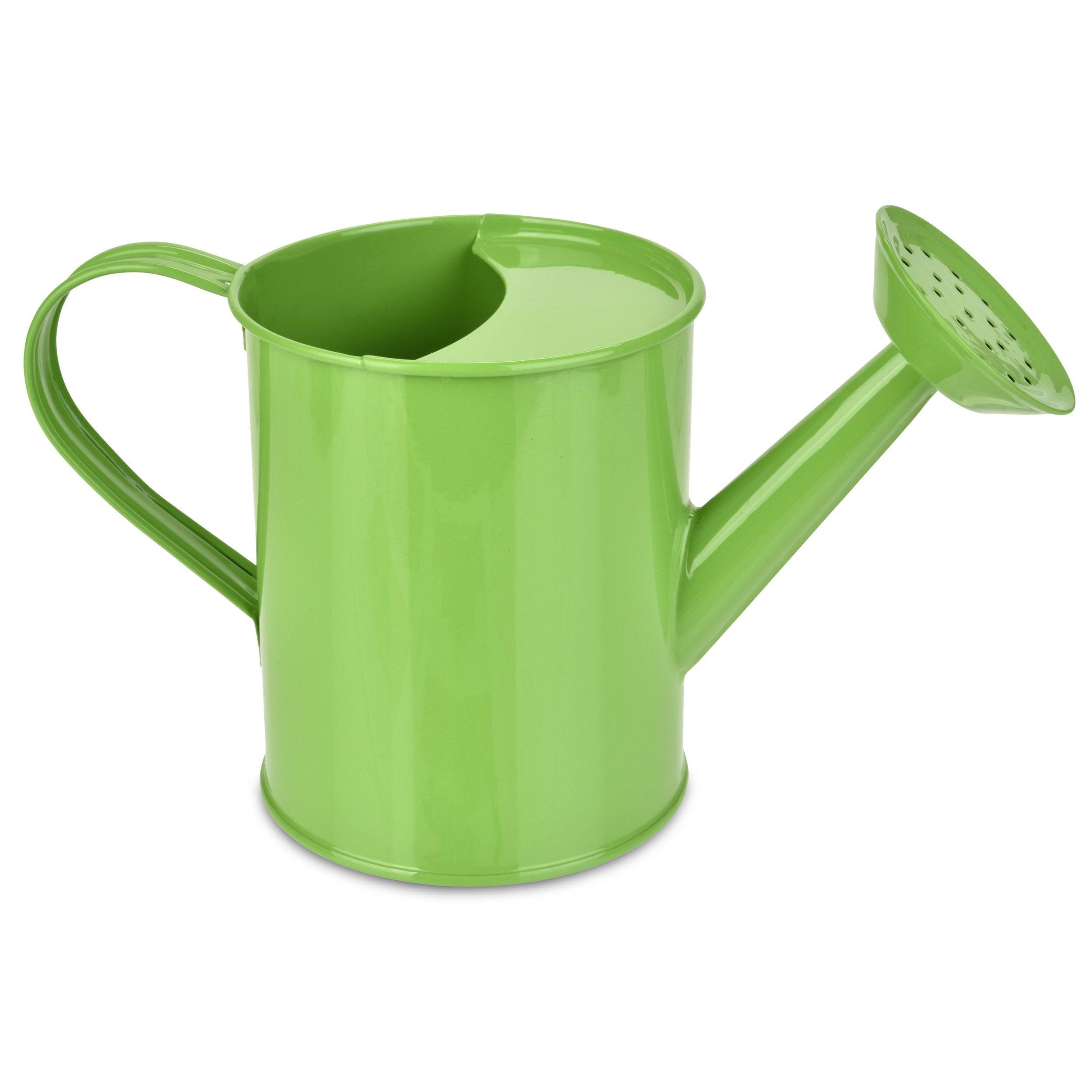 Jr. Garden Tote & Tool Set