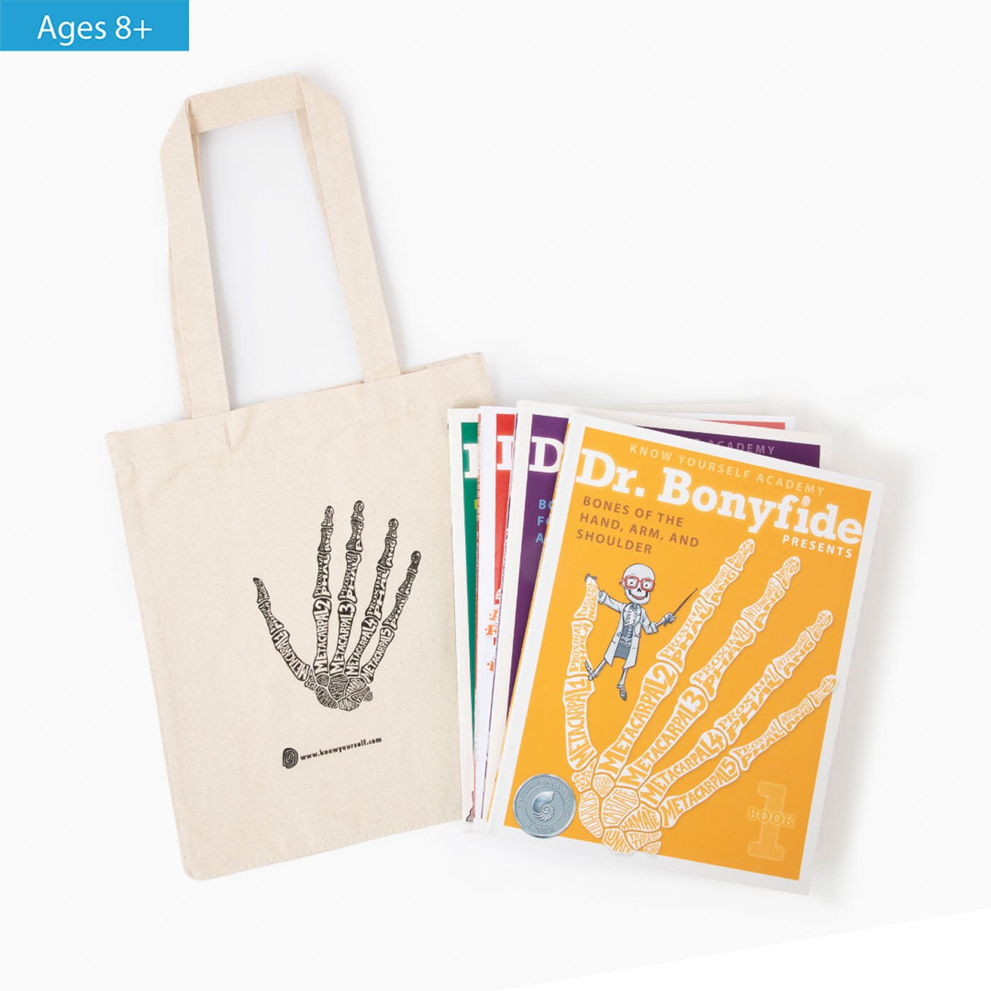 206 Bones Of The Human Body - 4 Book Set