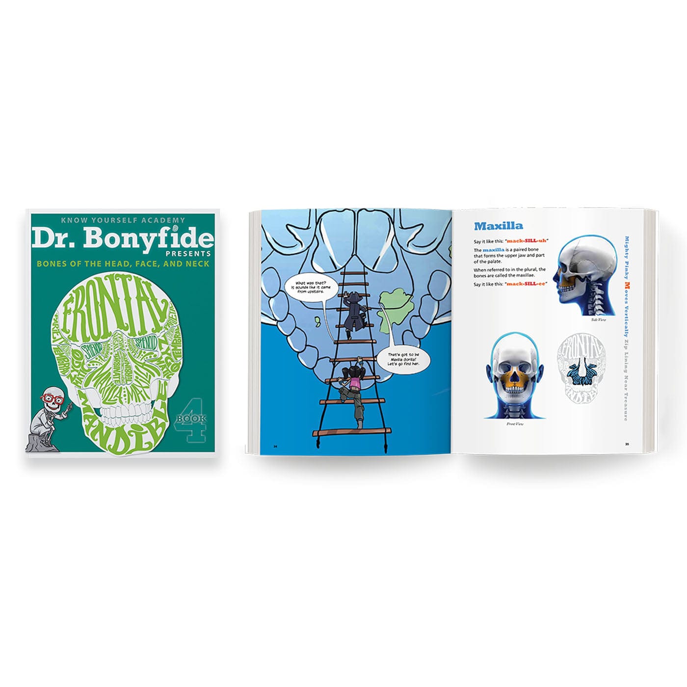 206 Bones Of The Human Body Bonus Bundle