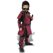 Ninja (samurai Style)