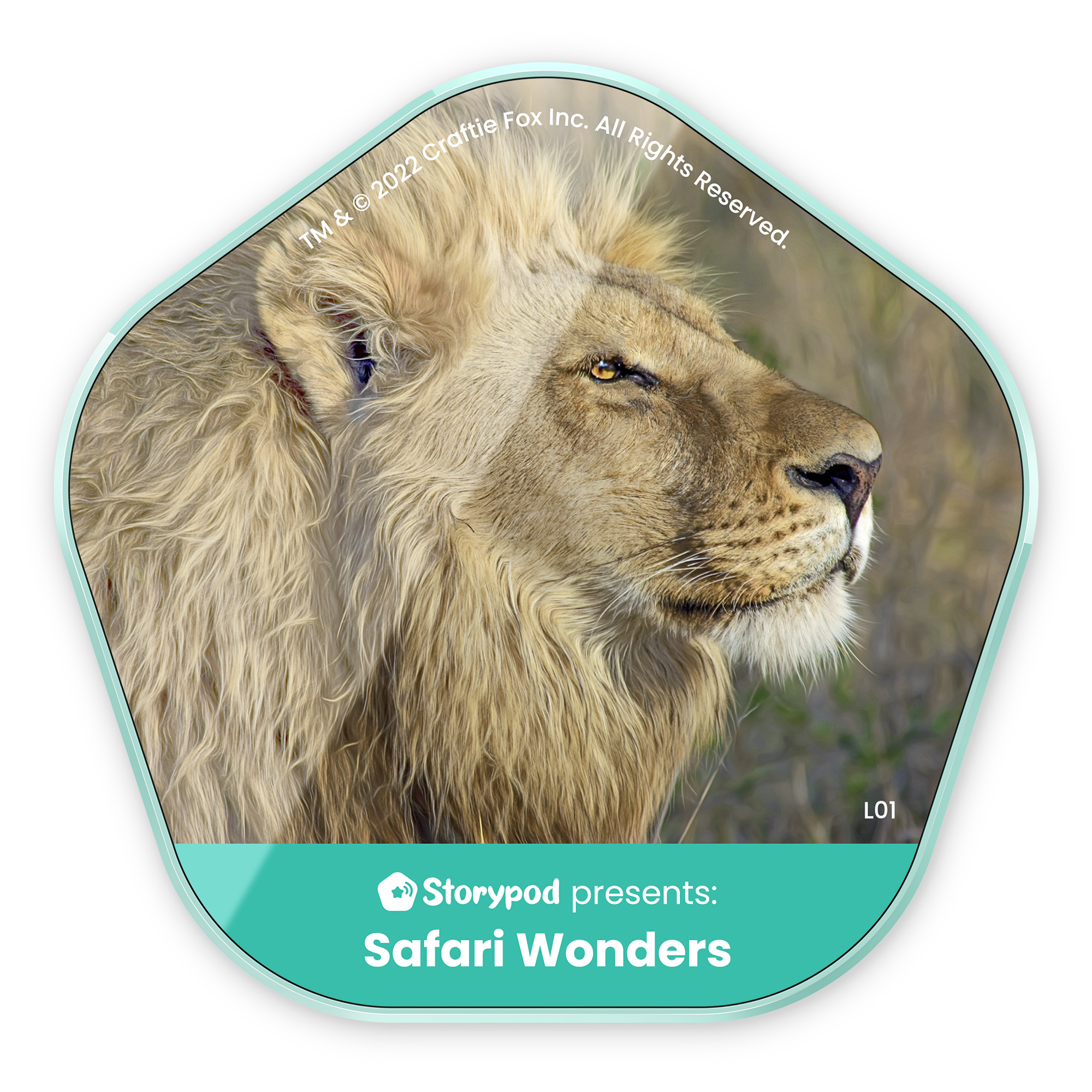 Safari Wonders