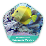Subaquatic Wonders