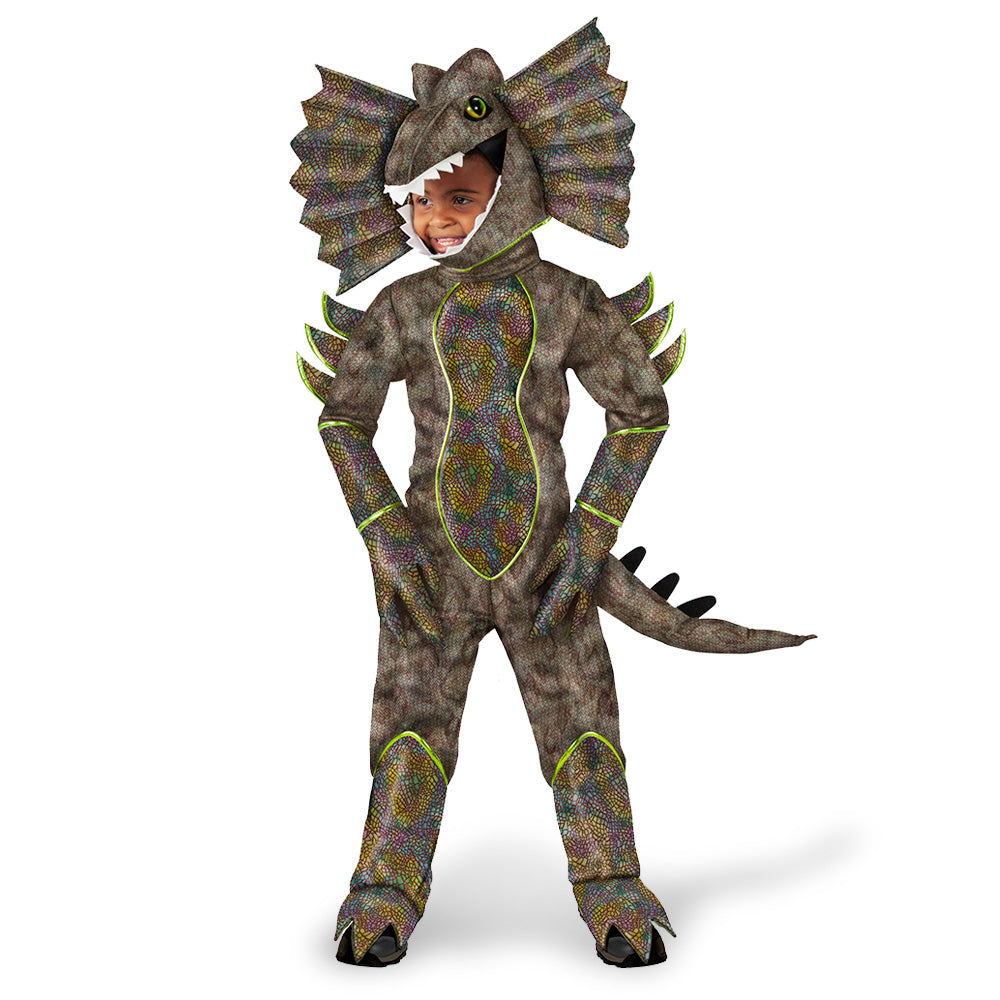 Dinosaur Costume