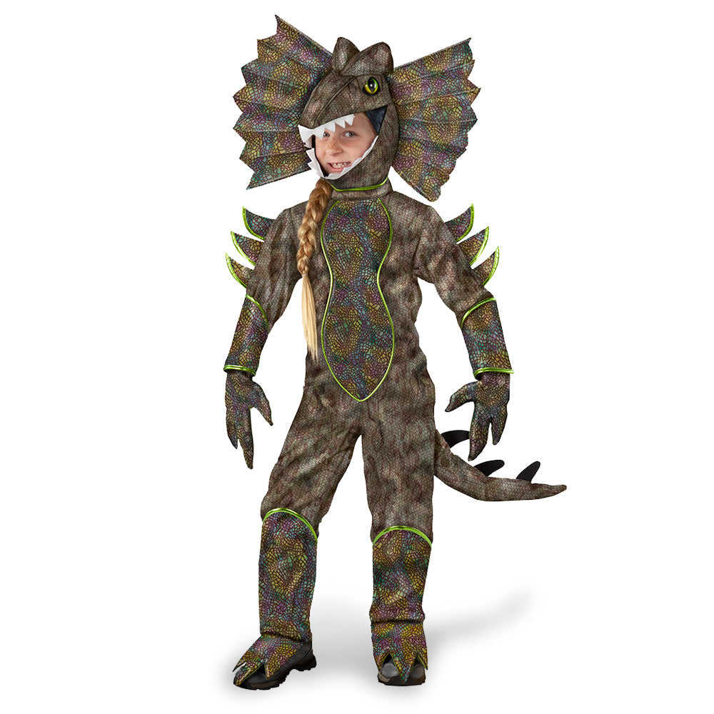 Dinosaur Costume