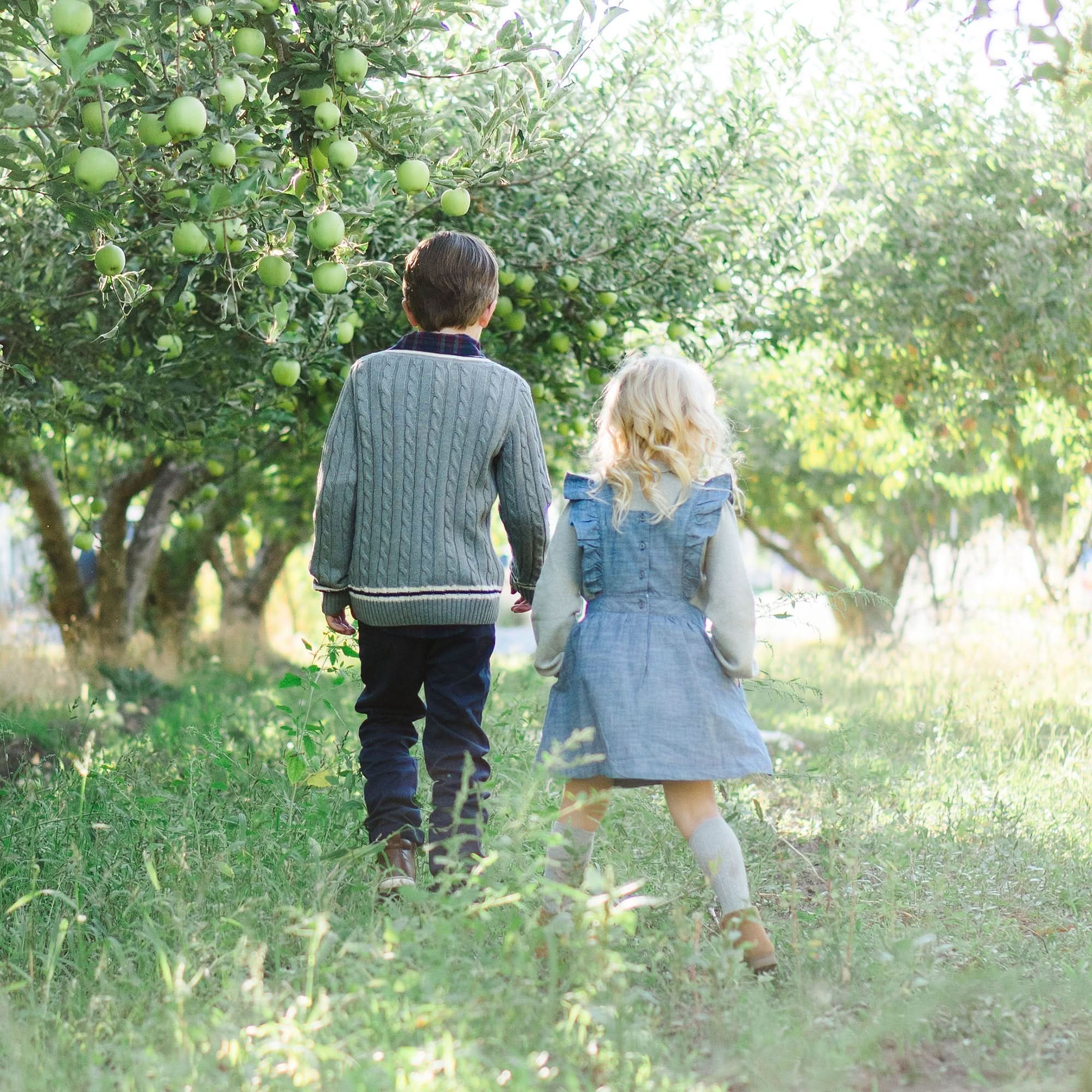 V-neck Cricket Sweater - Baby