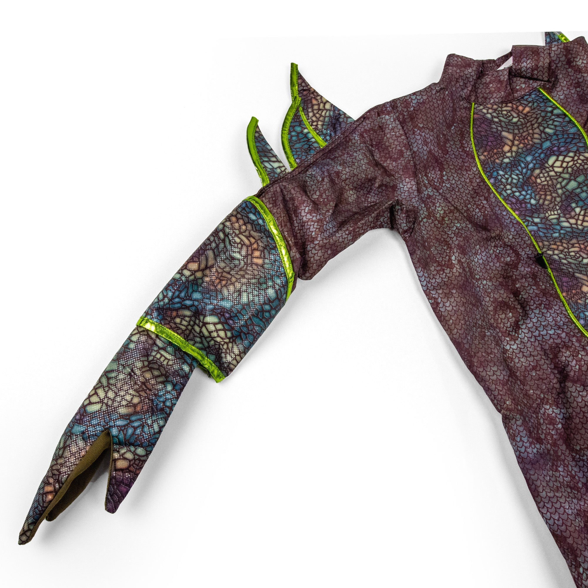Dinosaur Costume