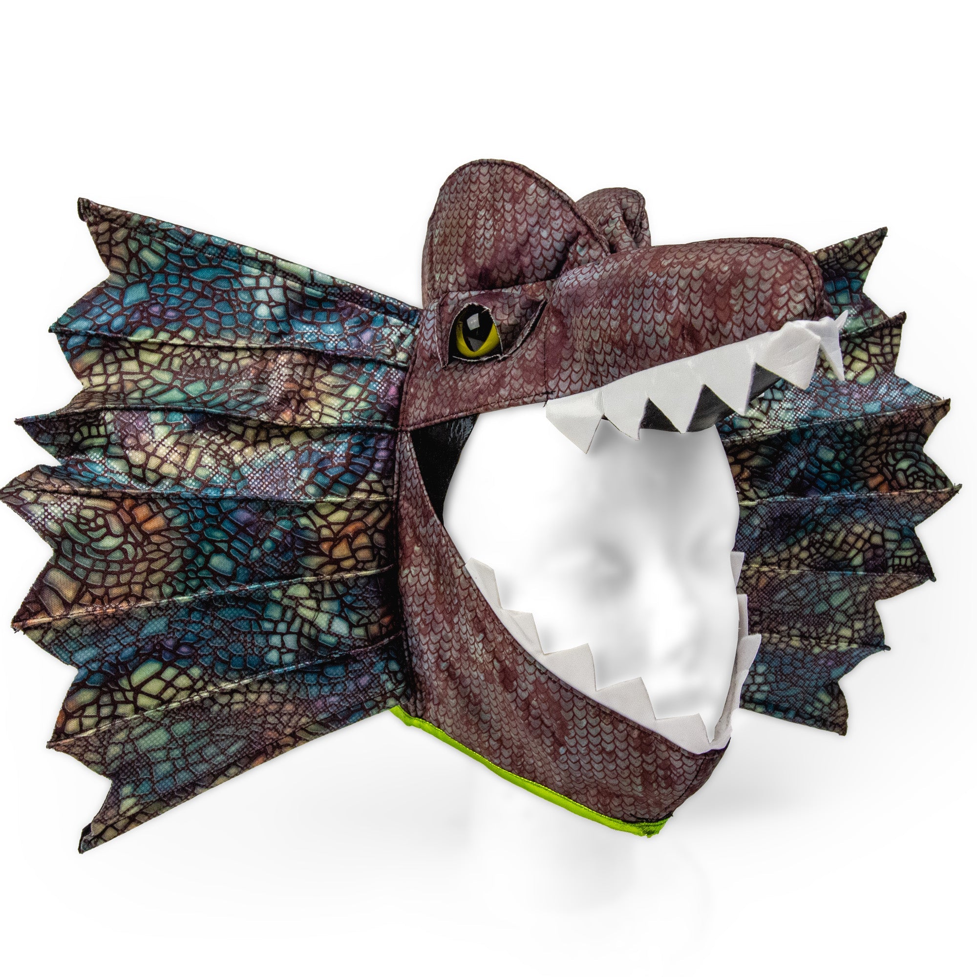 Dinosaur Costume