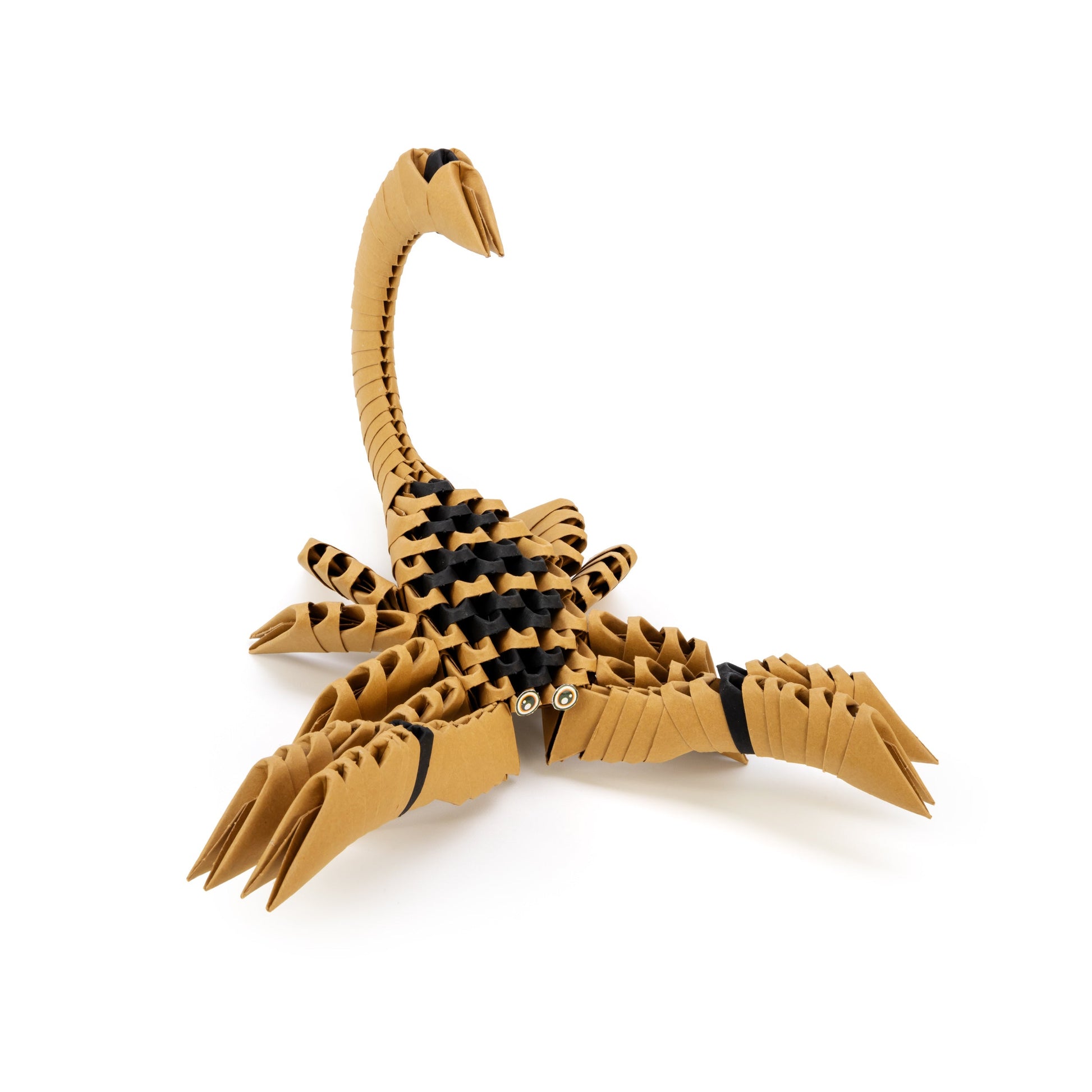 Origami 3D - Spider and Scorpion