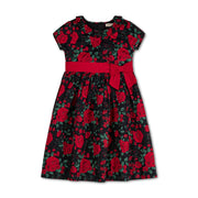 Ruffle Collar Party Dress - Baby