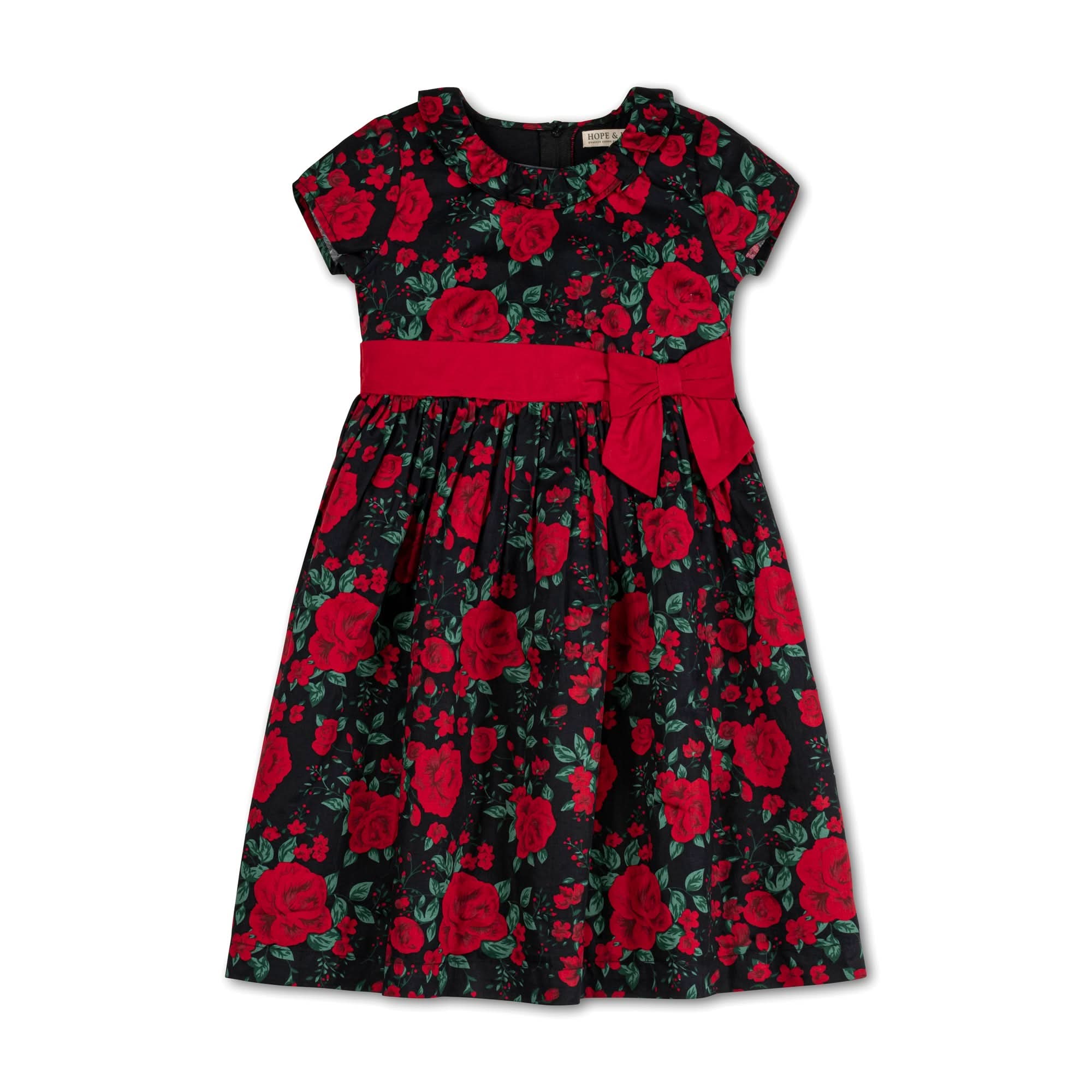 Ruffle Collar Party Dress - Baby