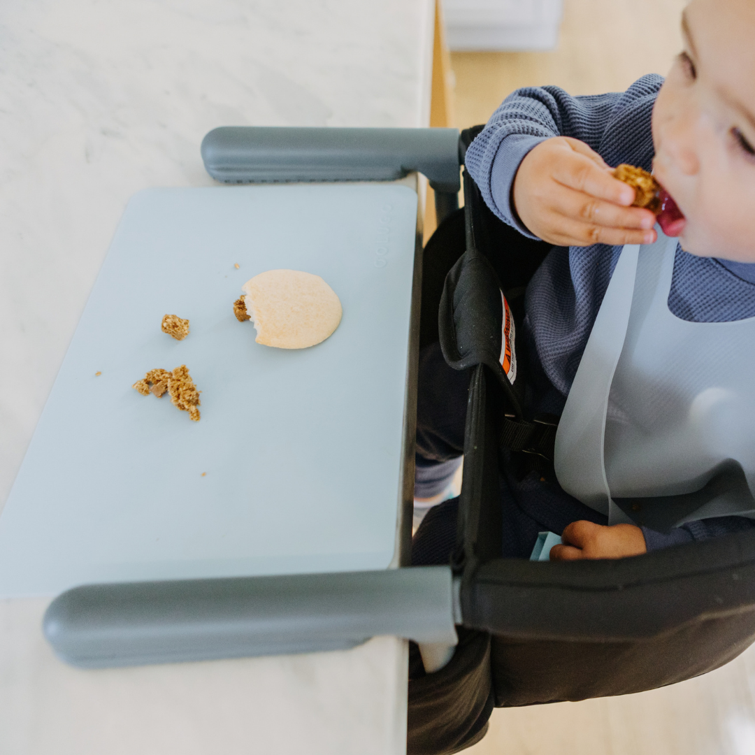 Roll And Go Silicone Placemat 2 Pack