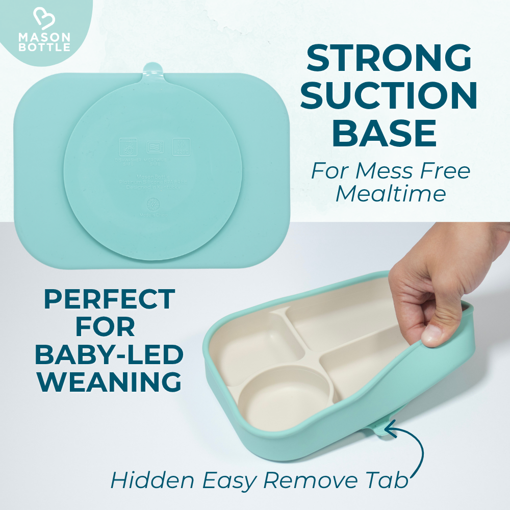 First Bites™ Mealtime Starter Set