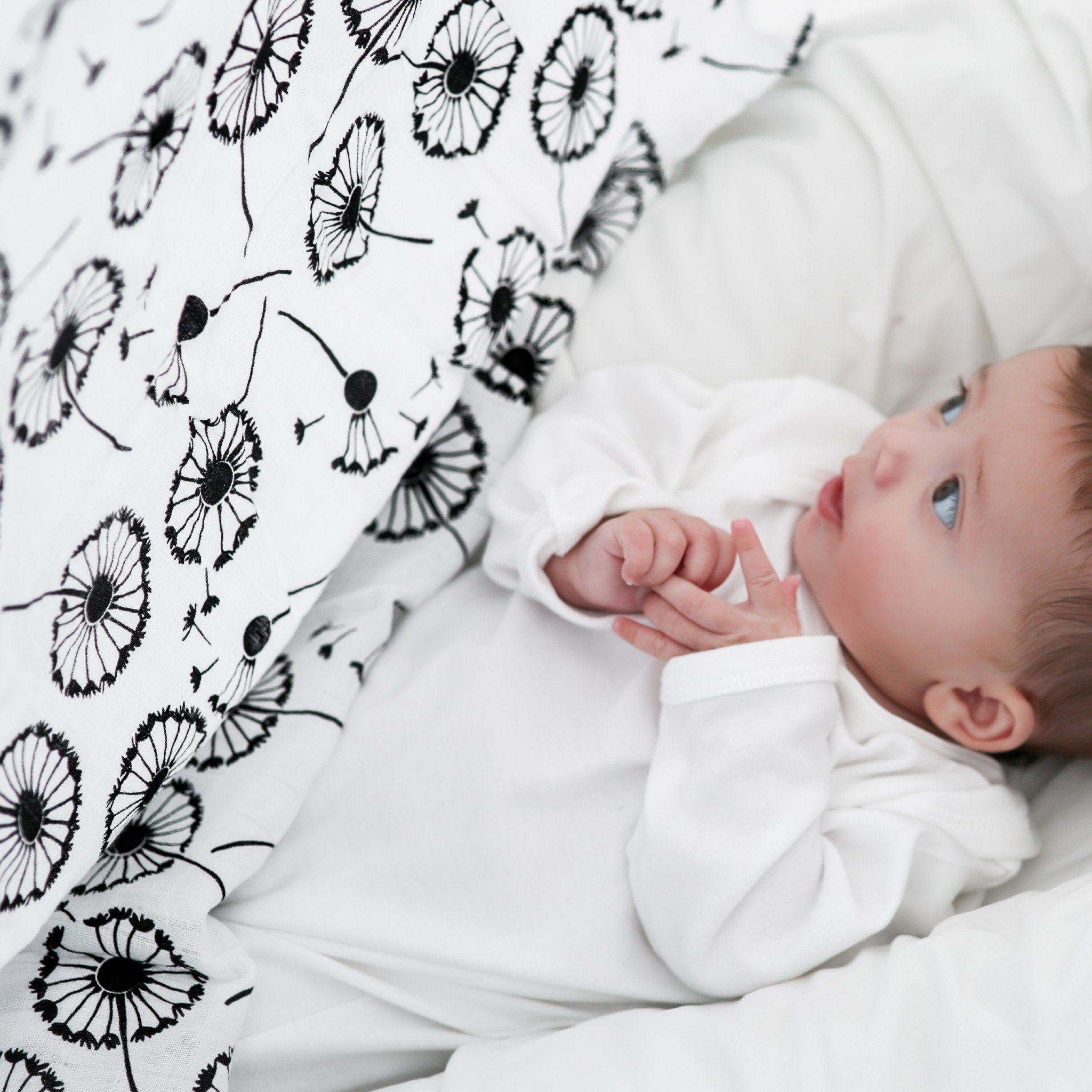 Xl Dandelion Muslin - For Newborn To 4 Months Old Babies