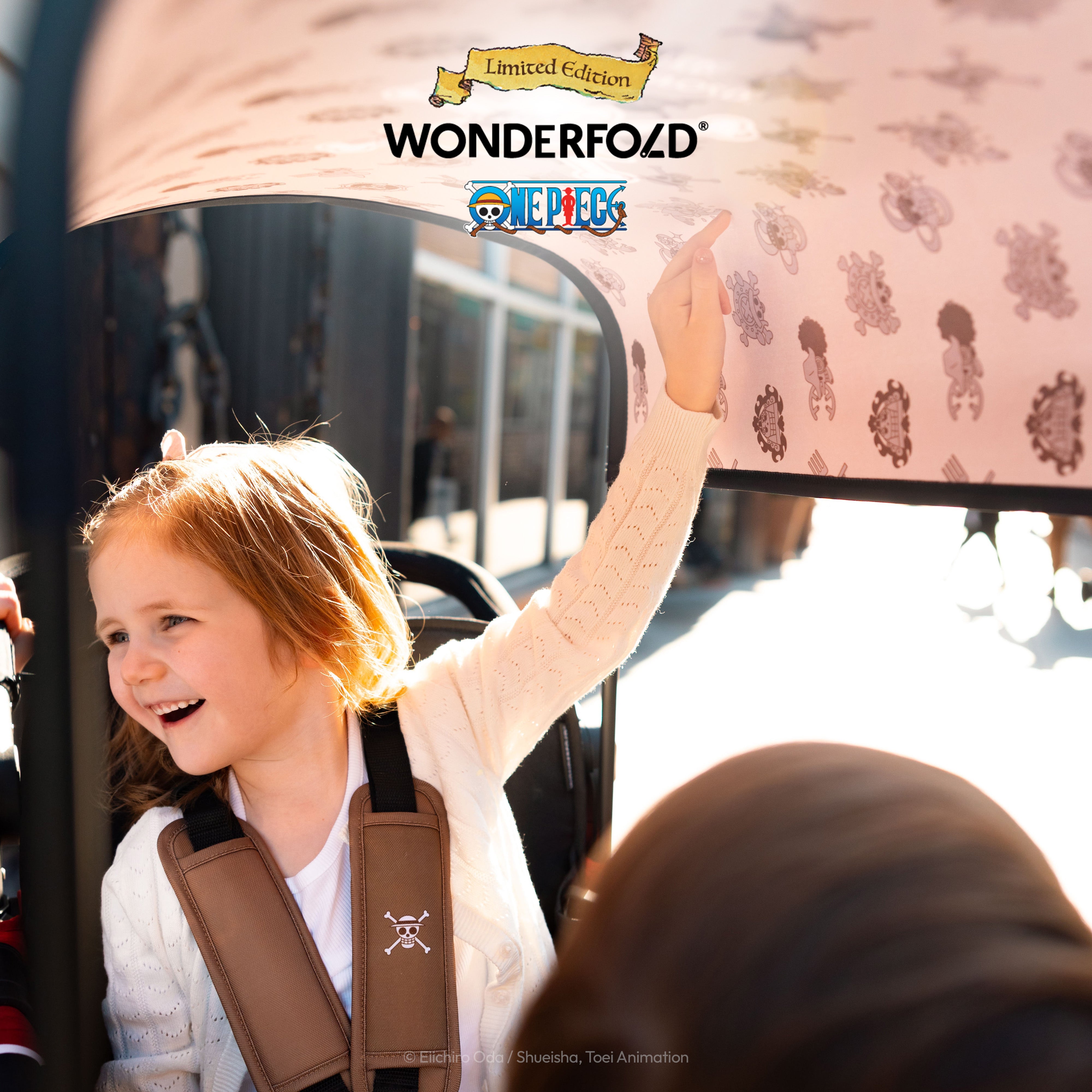One Piece Thousand Sunny Canopy Fabric