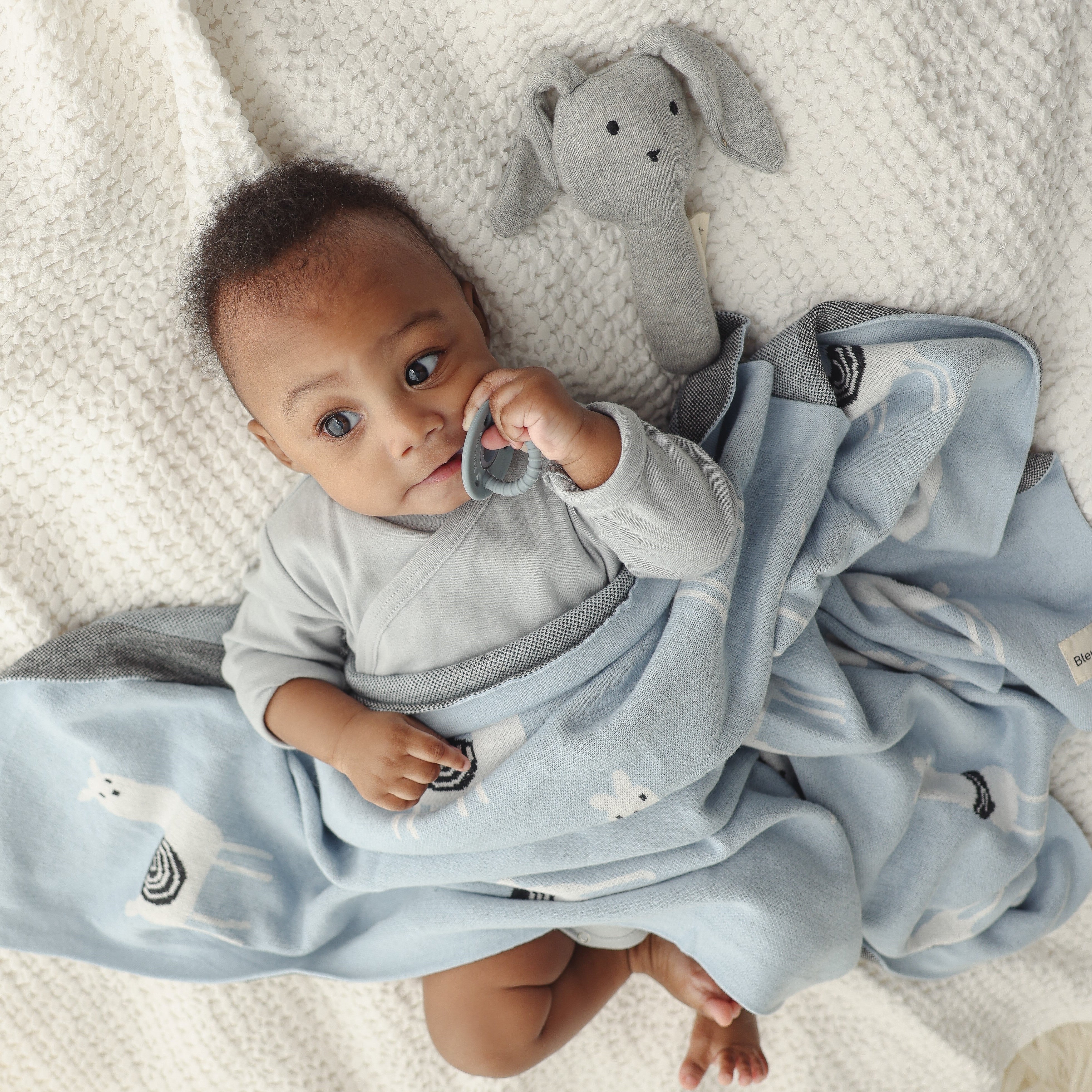 Luxury Knit Llama Swaddle Baby Blanket by Bleu La La