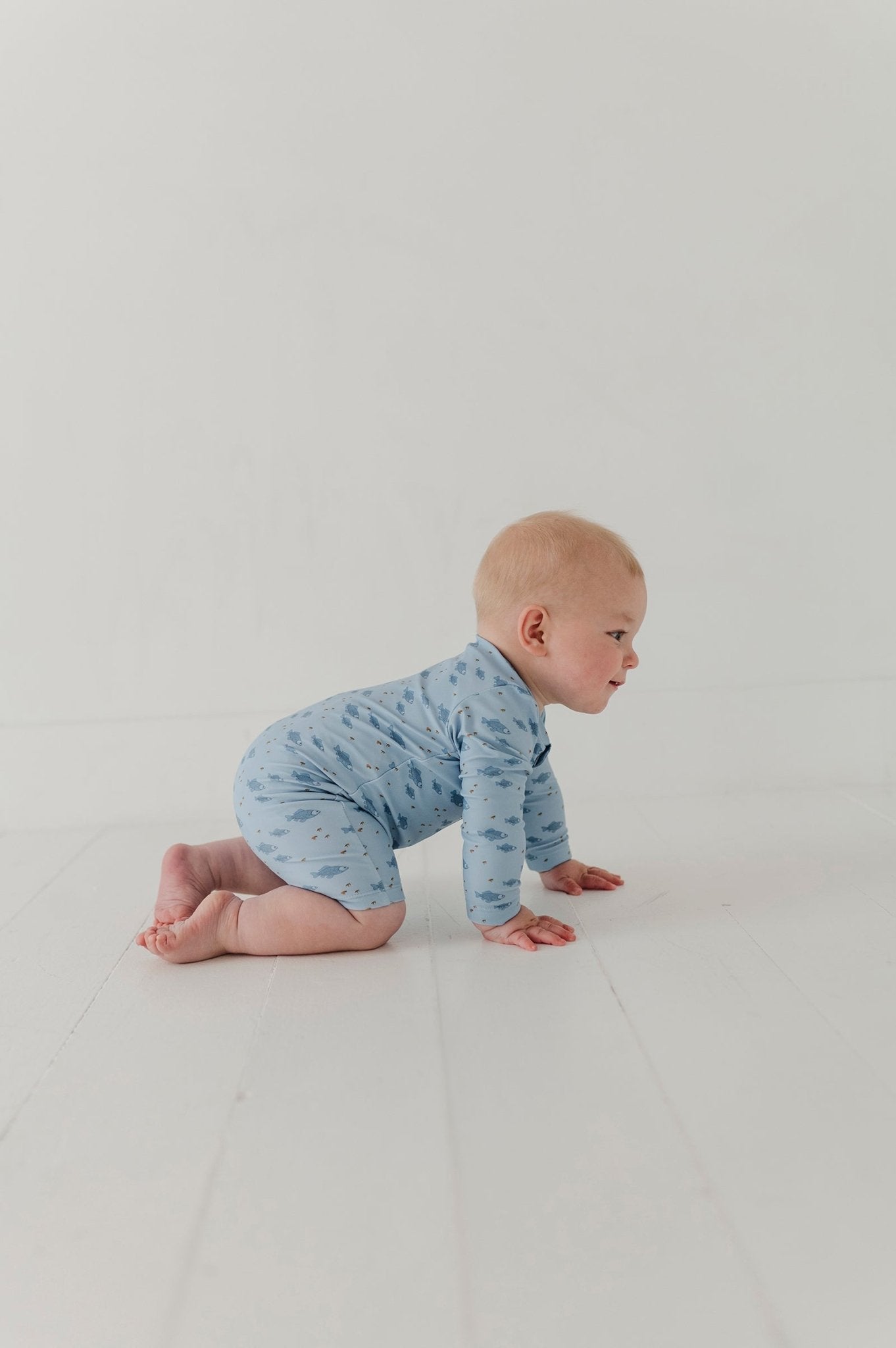 Baby Boy One-piece Rash Guard Swimsuit In Fish