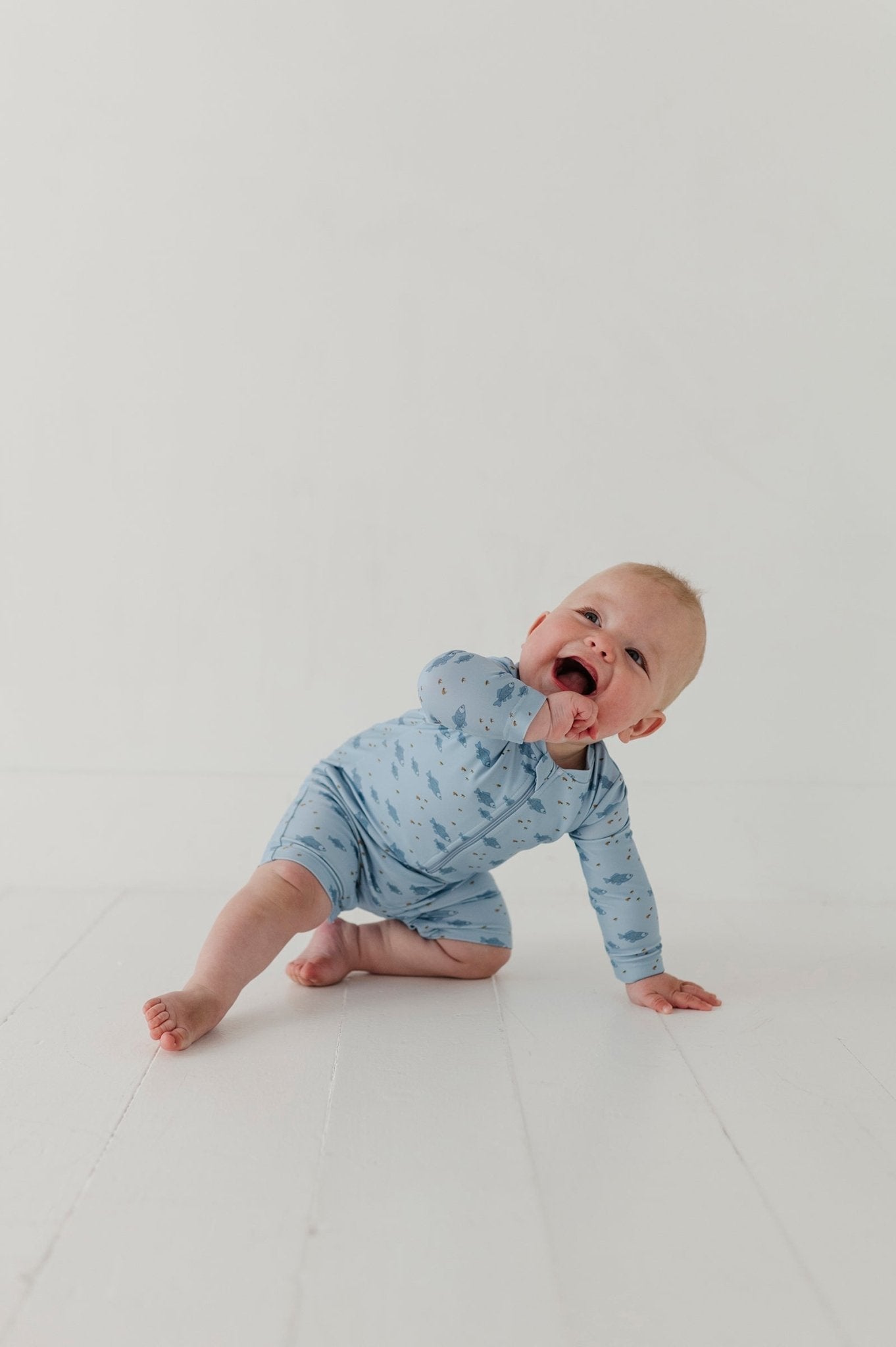 Baby Boy One-piece Rash Guard Swimsuit In Fish