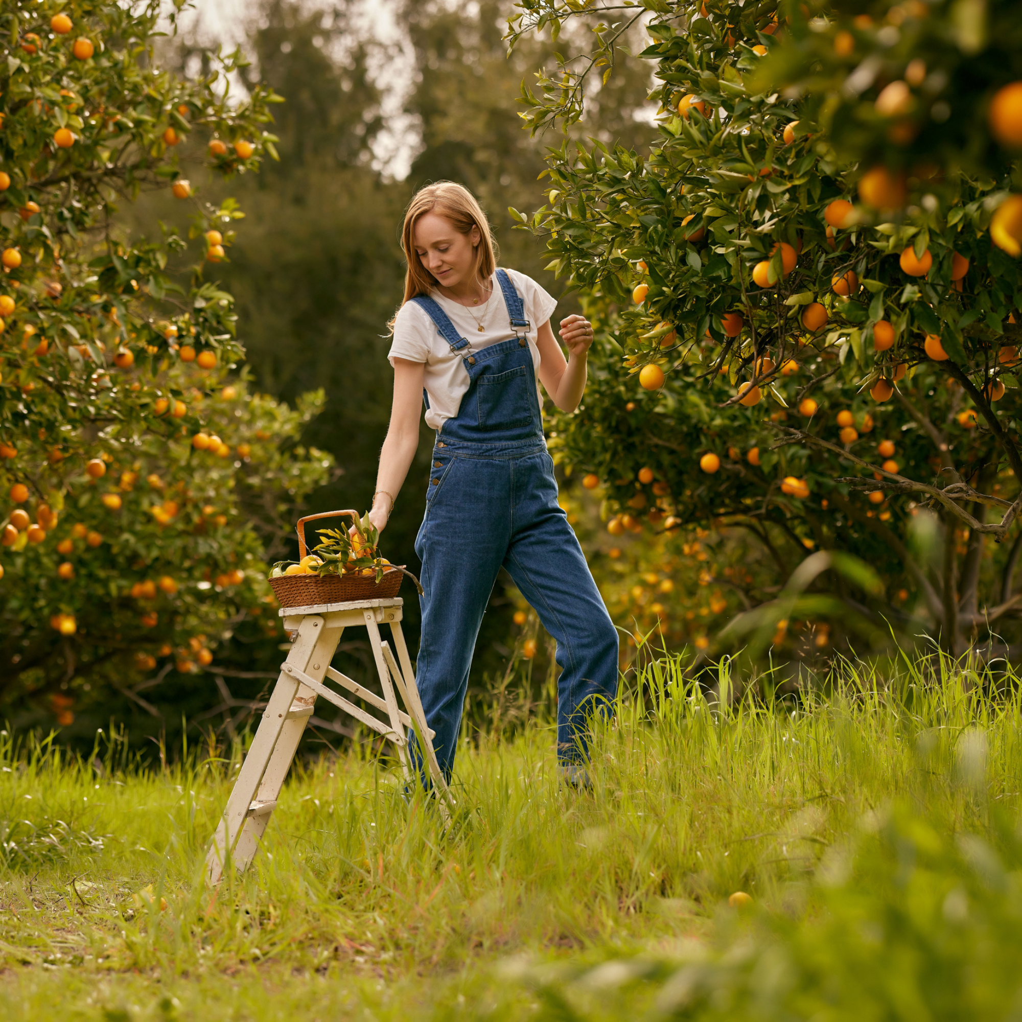 Adult Classic Stonewash Denim Overalls