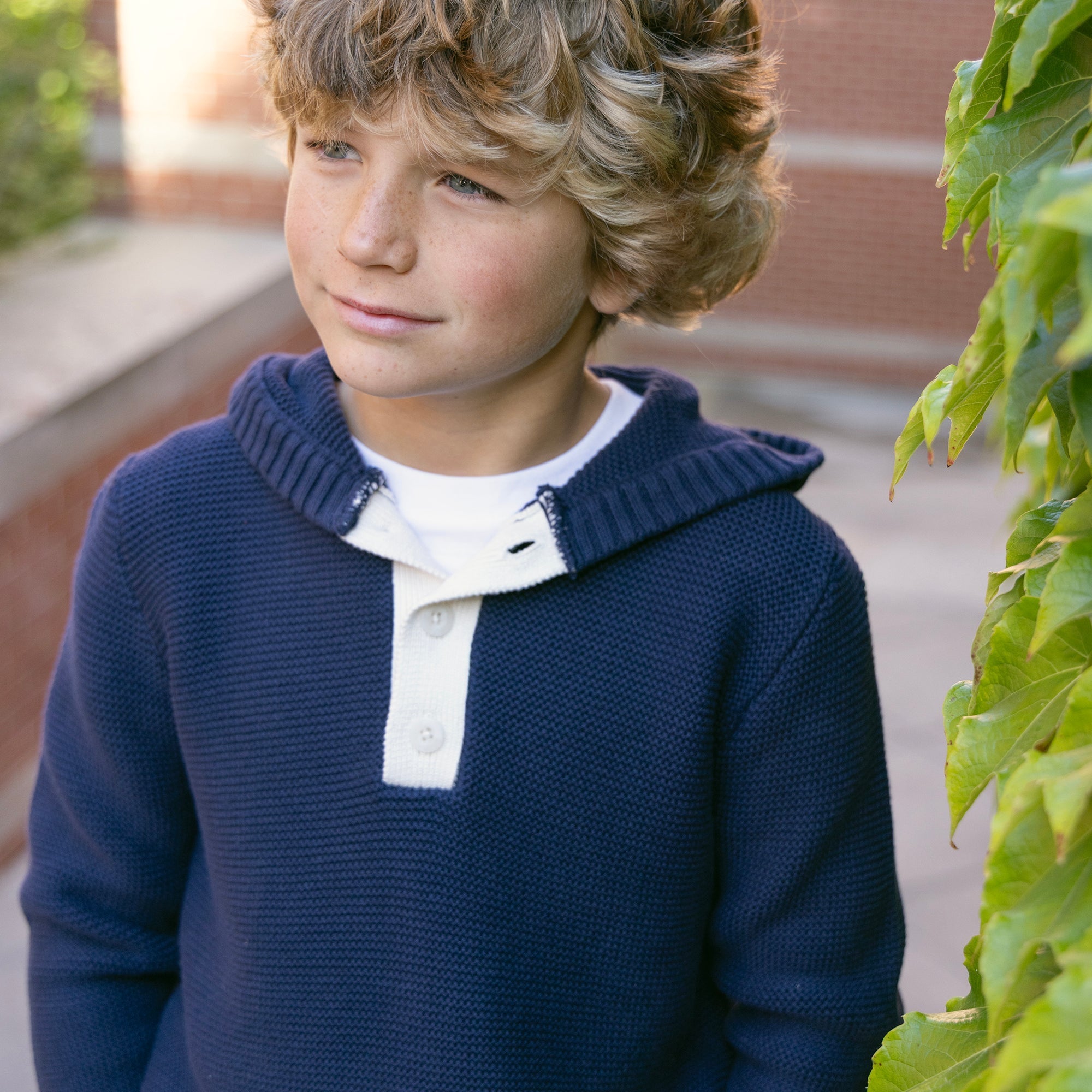 Organic Henley Sweater Hoodie