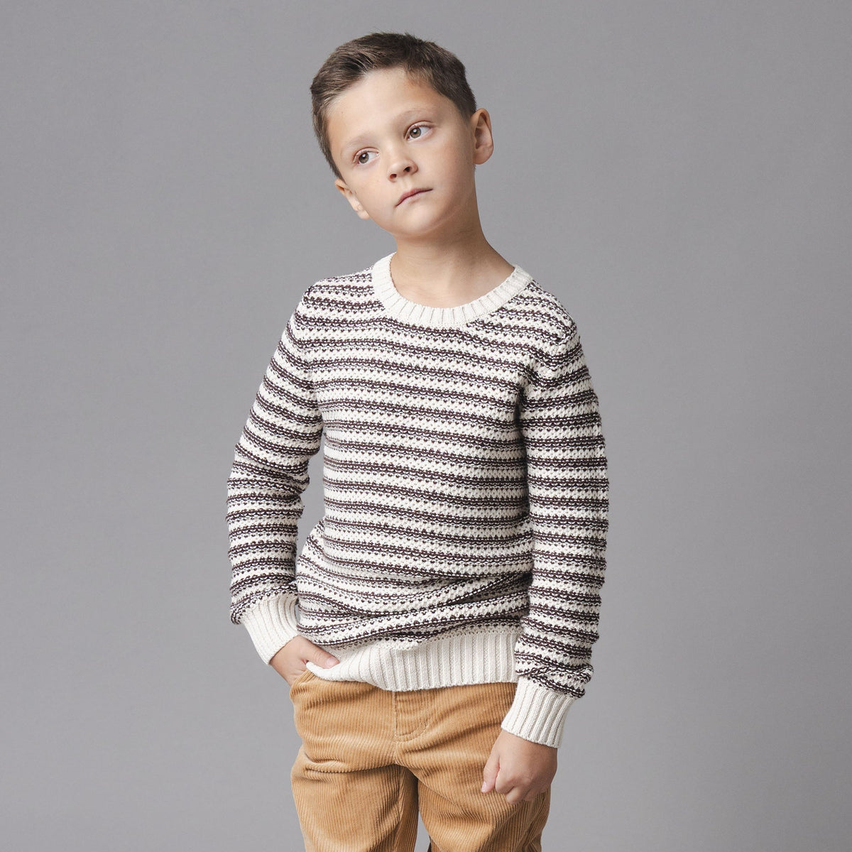 Organic Crewneck Sweater