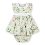 Organic Peter Pan Collar Party Dress