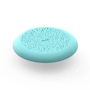 Flying Disc