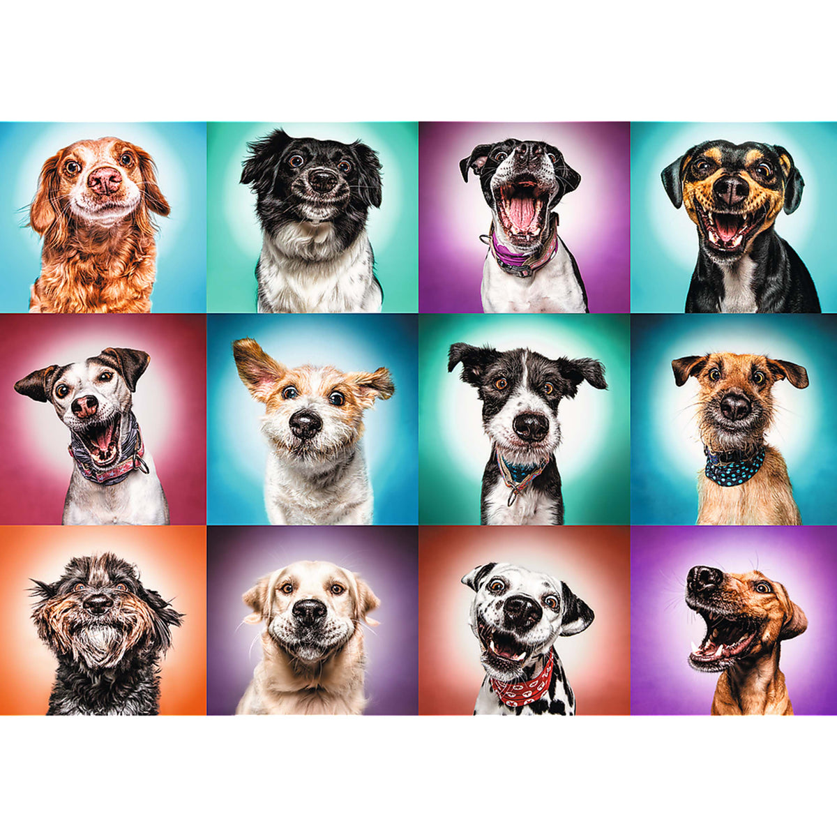Red Funny Dog Portraits Ii 2000 Piece Puzzle