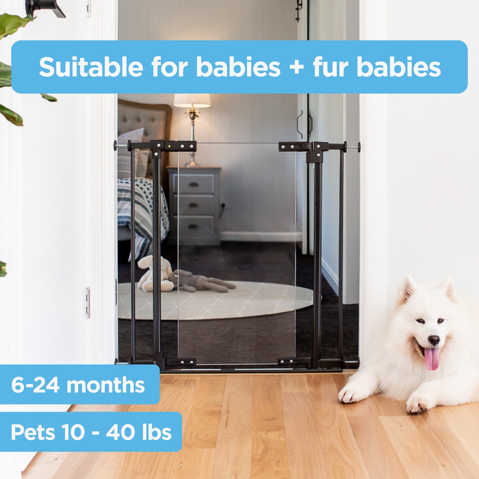 Clear Ultimate Safety Gate | 55.9" W X 29.9" H