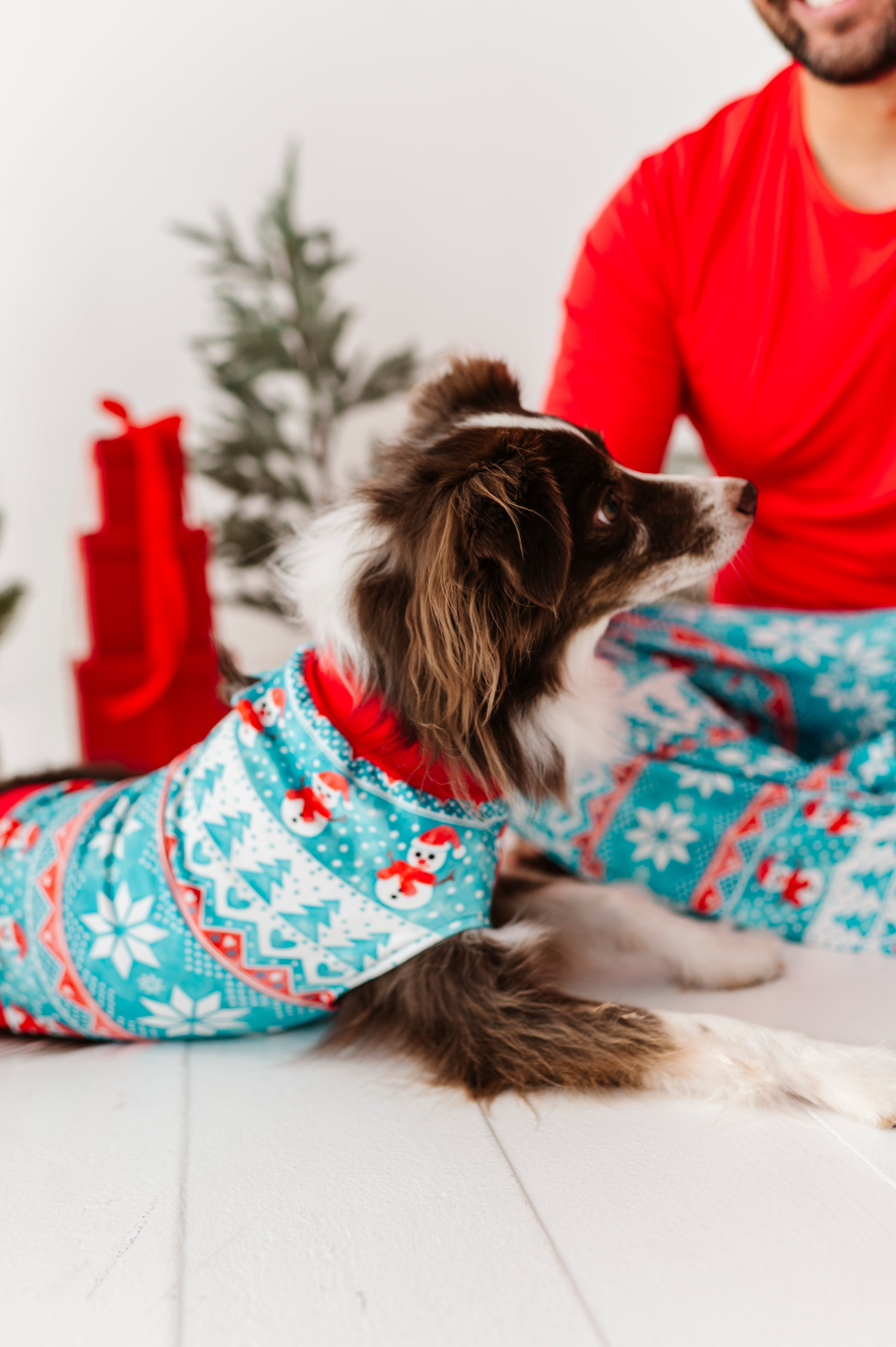 Frosty Fair Isle Pet Sweatshirt