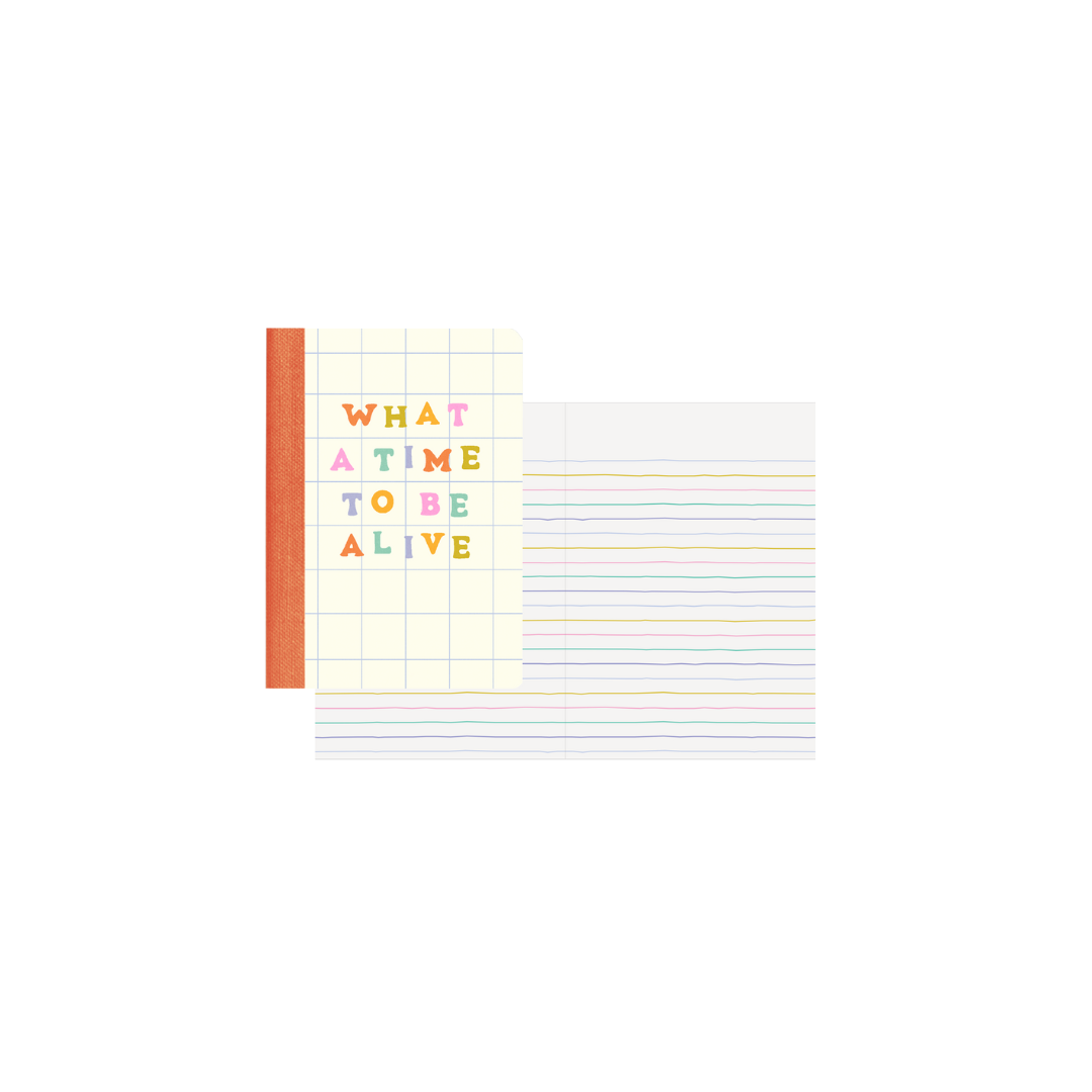 Mini Notebook Set - Delightful