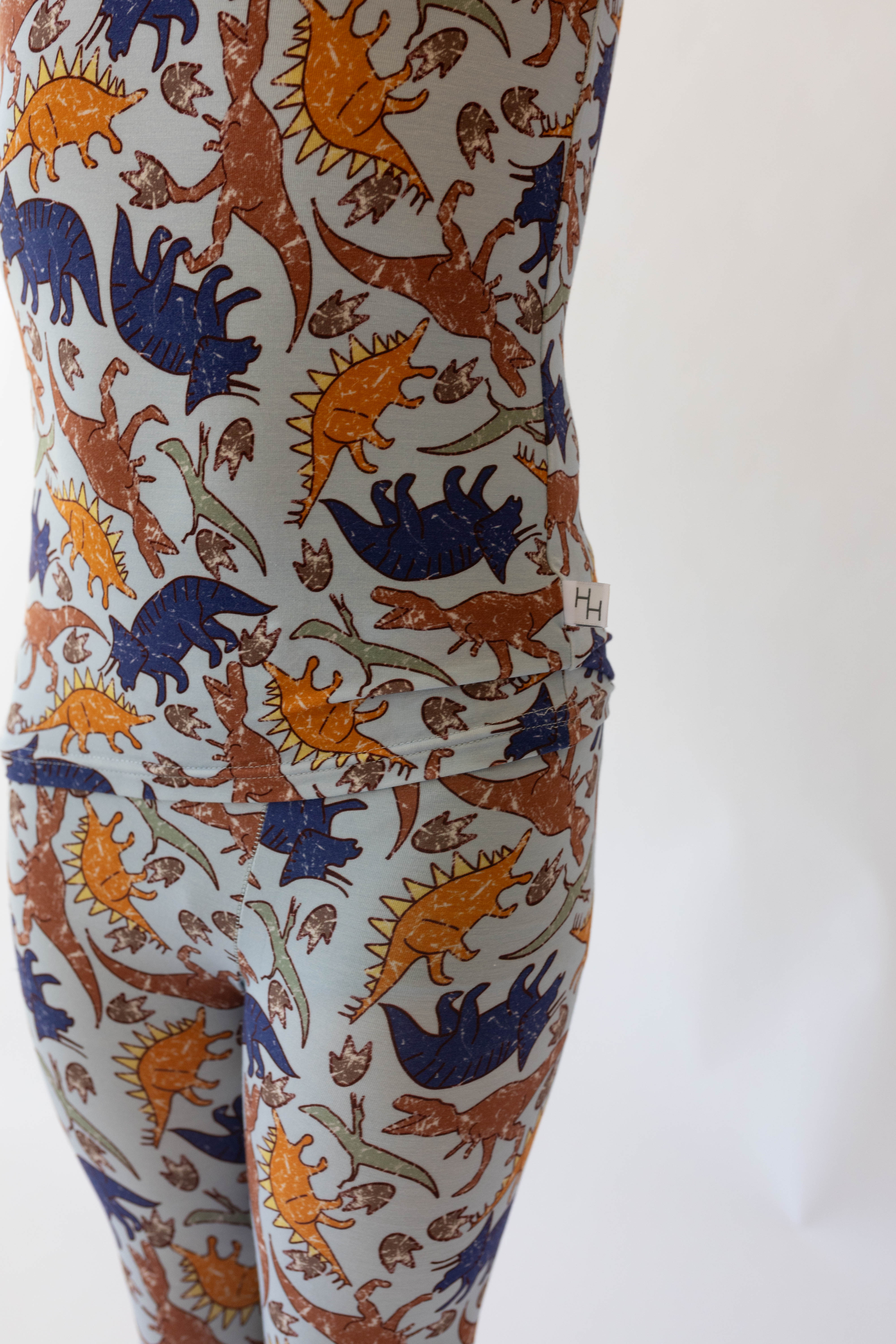 Blue Dino 2 Piece Pj's