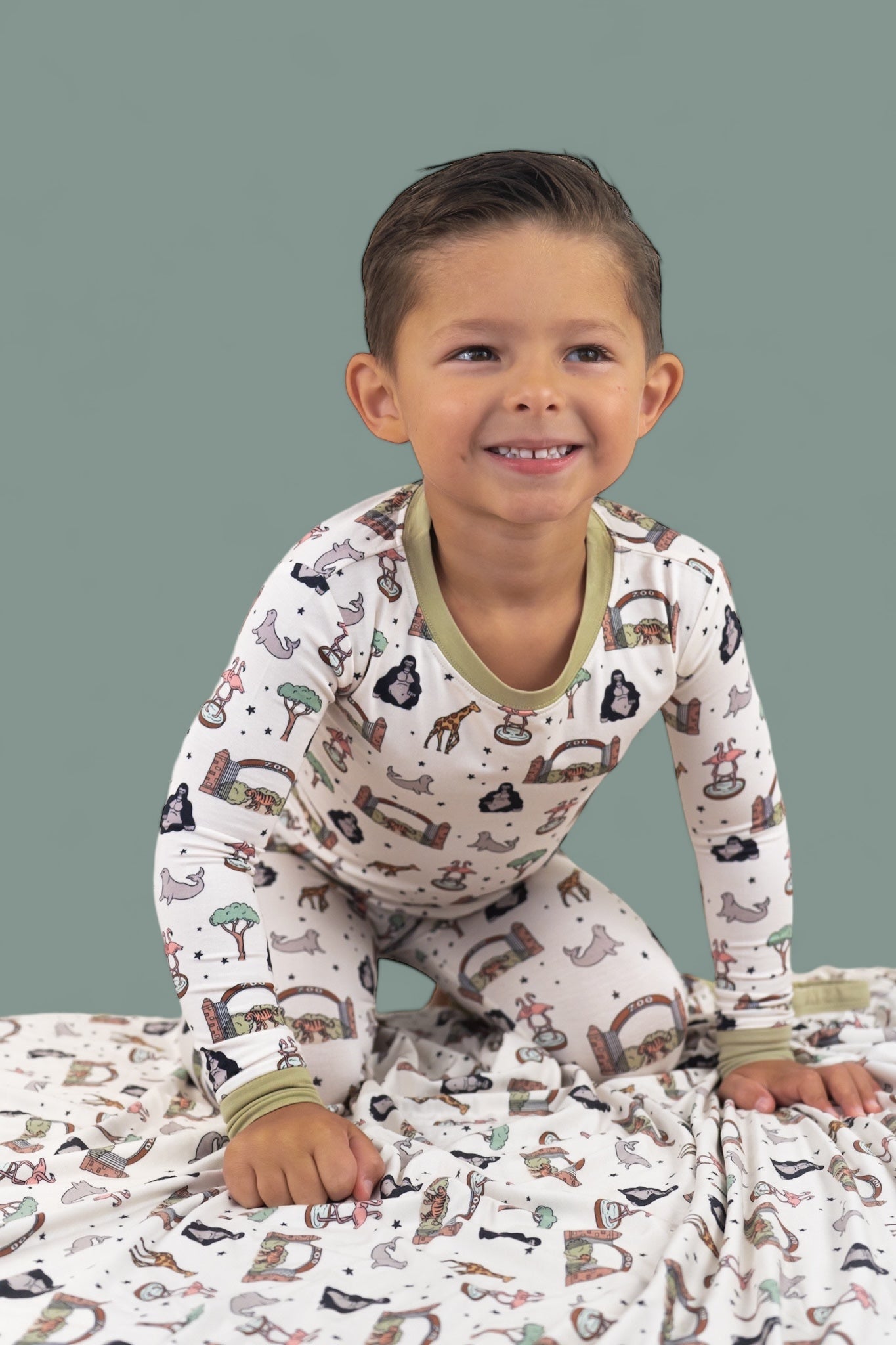 Exclusive Zoo Adventures Dream Set