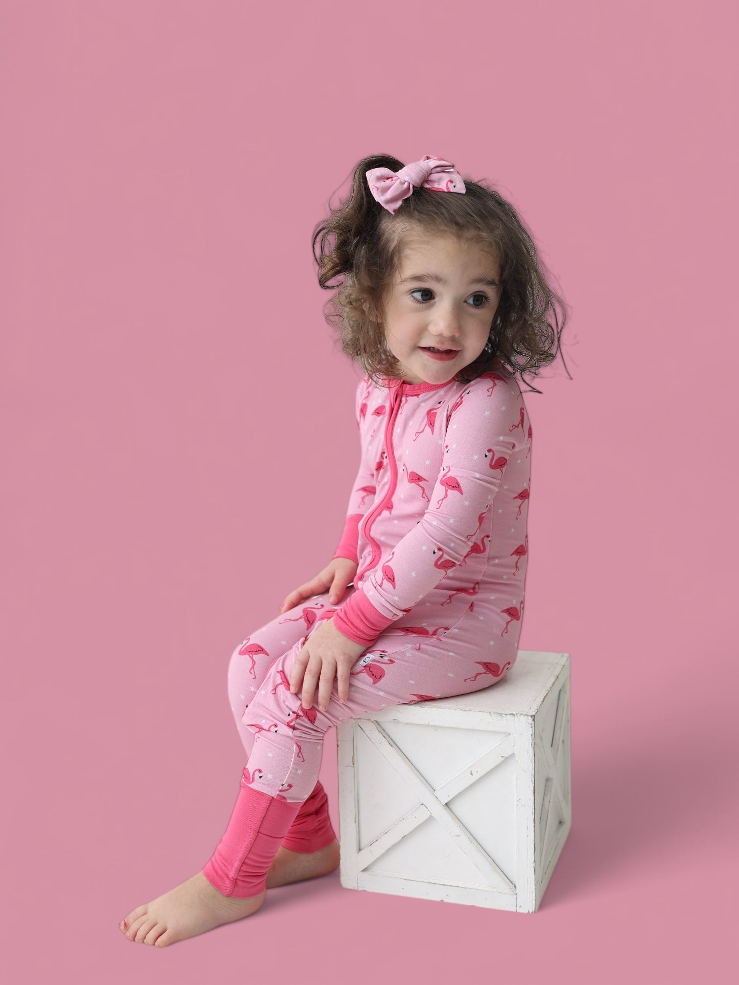 Flocking Flamingos Dream Bow Hair Clips