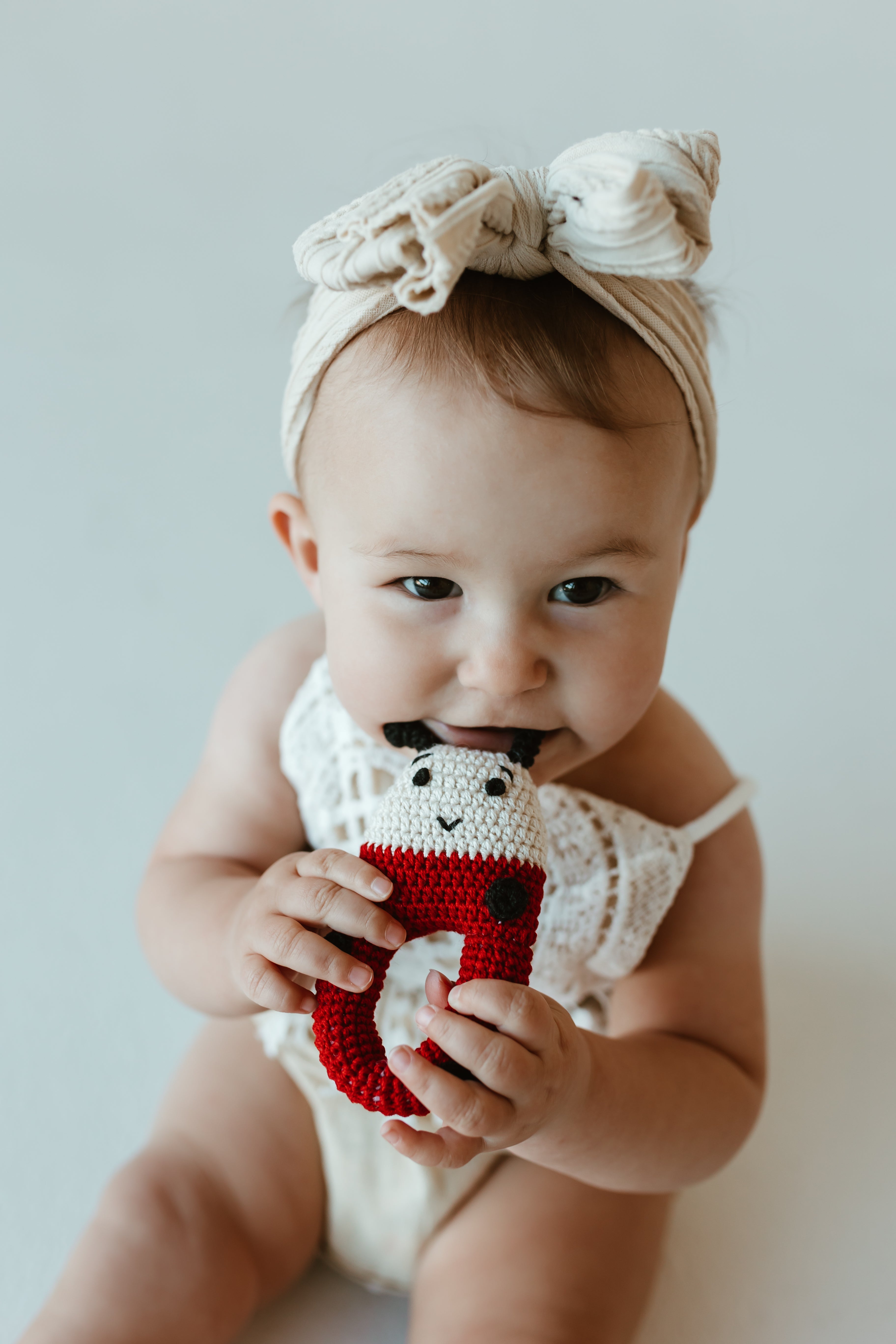 Crochet Ladybug Rattle