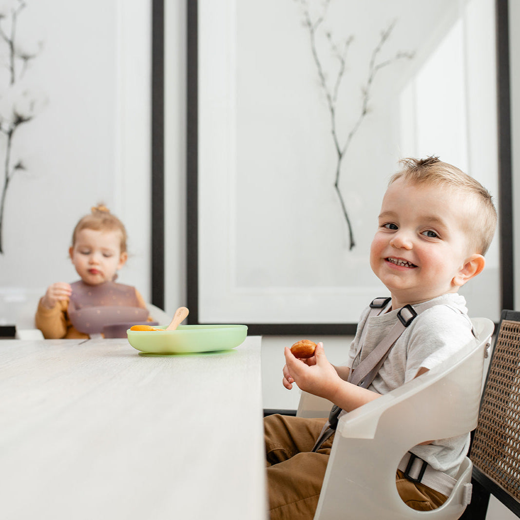 Color Changing Suction Plate