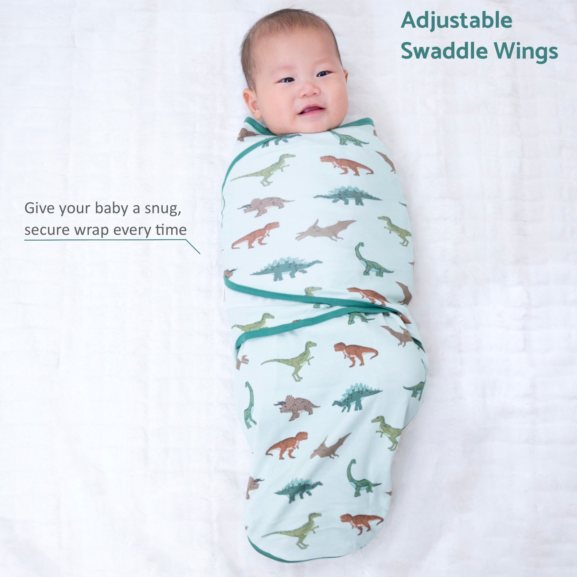 Have A T-rexcellent Day Swaddle Sack