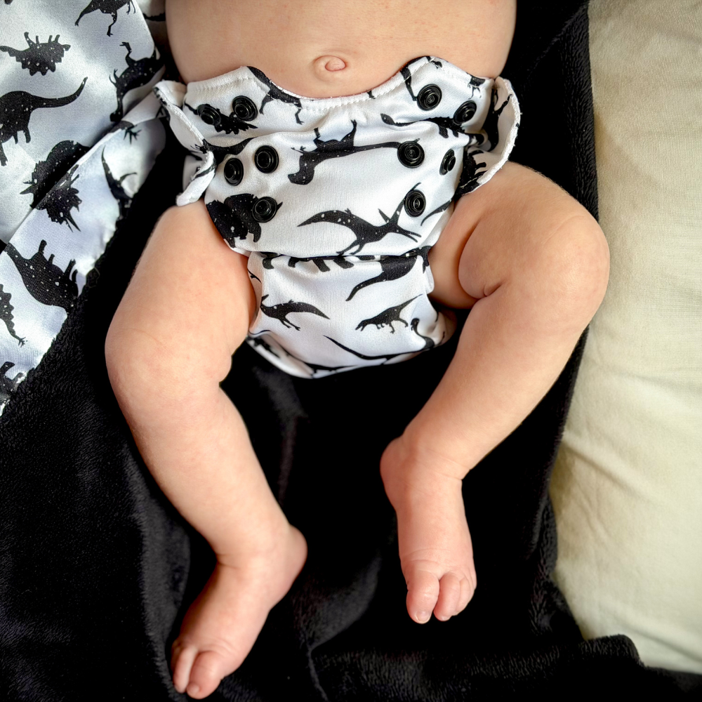 Born Smart 2.0 - Rawr!