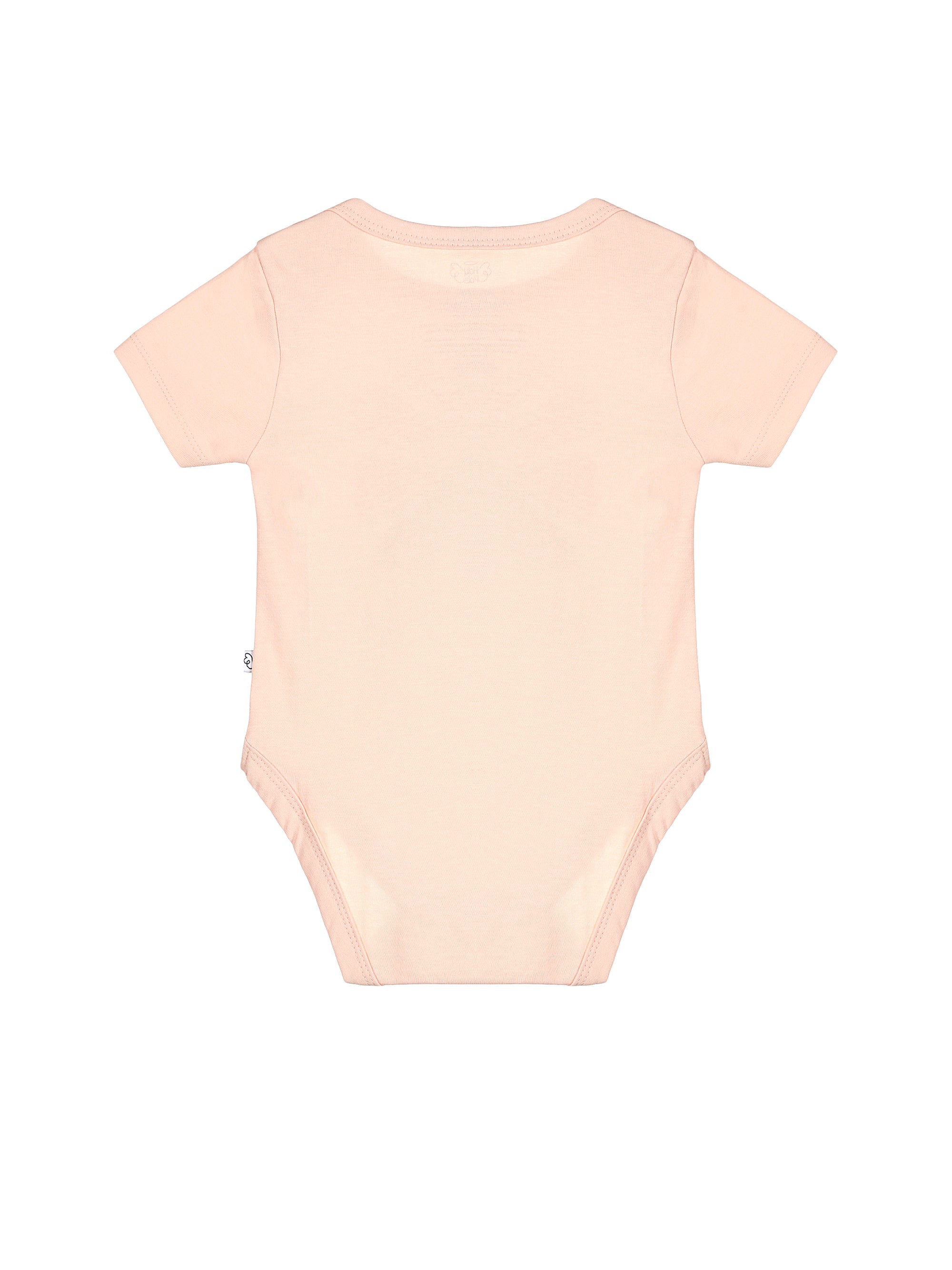 Baby Rejoice In The Lord Floral Bodysuit Cotton | Short Sleeve