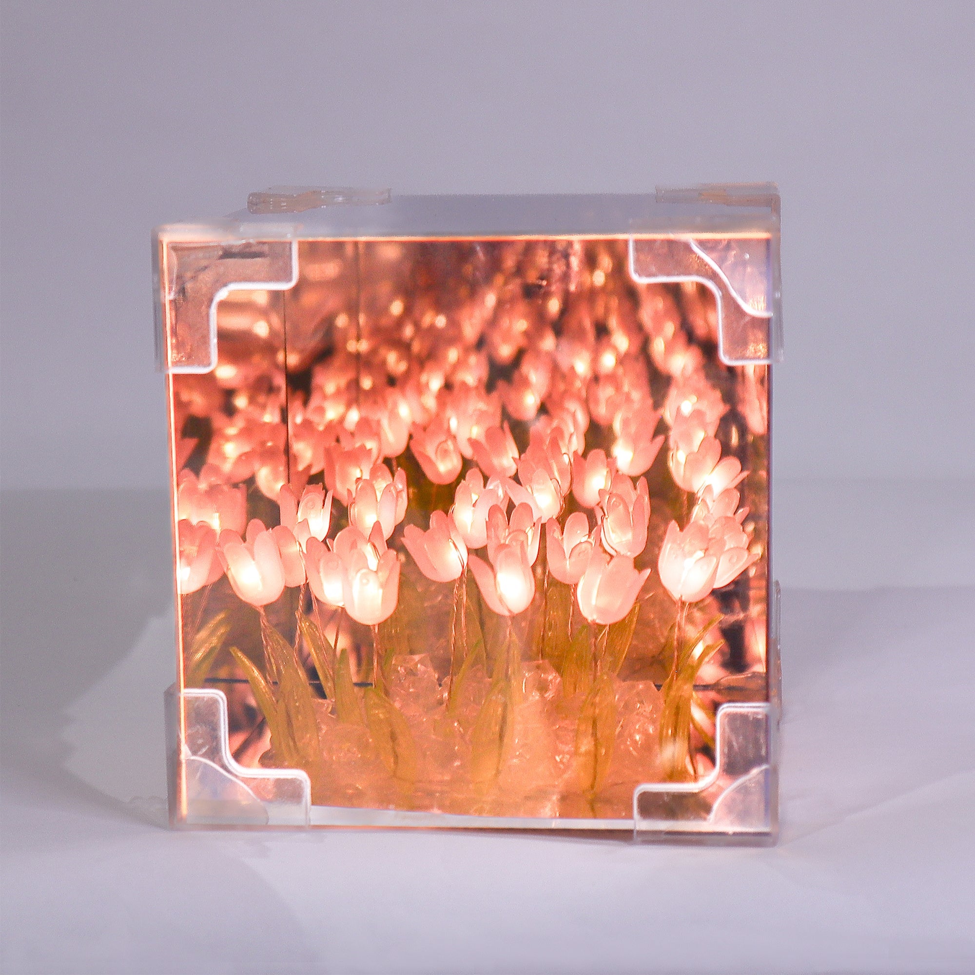 Tulip Mirror Led Night Light - Pink