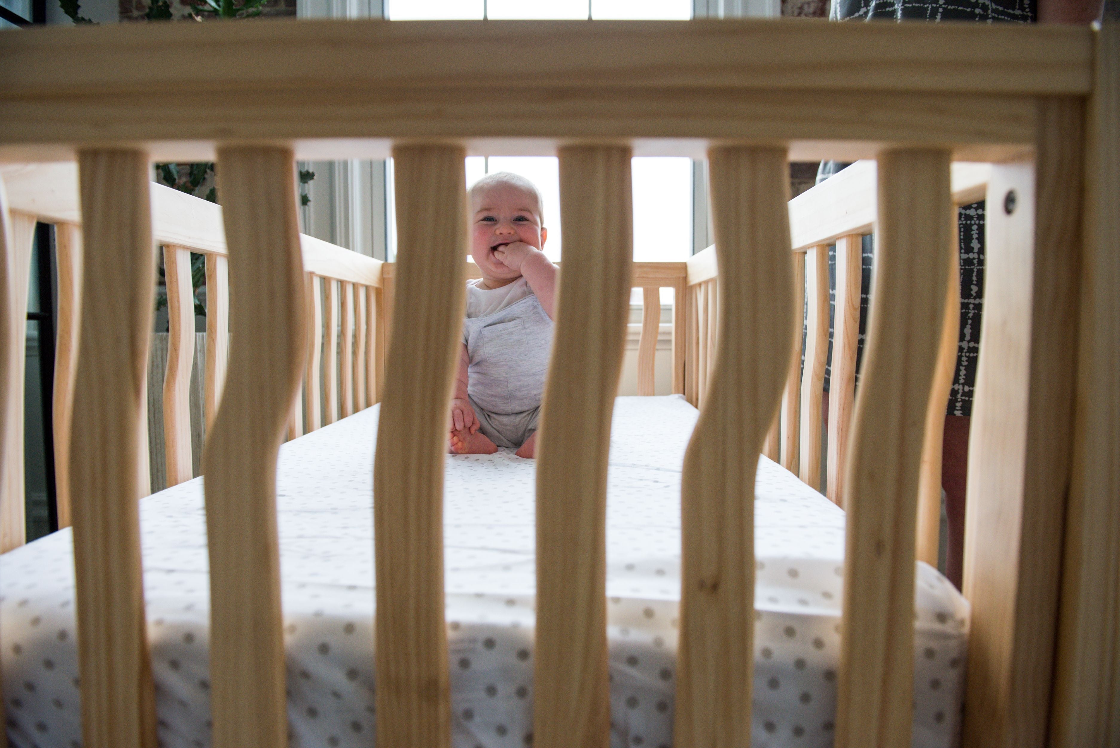 Branch Convertible Crib