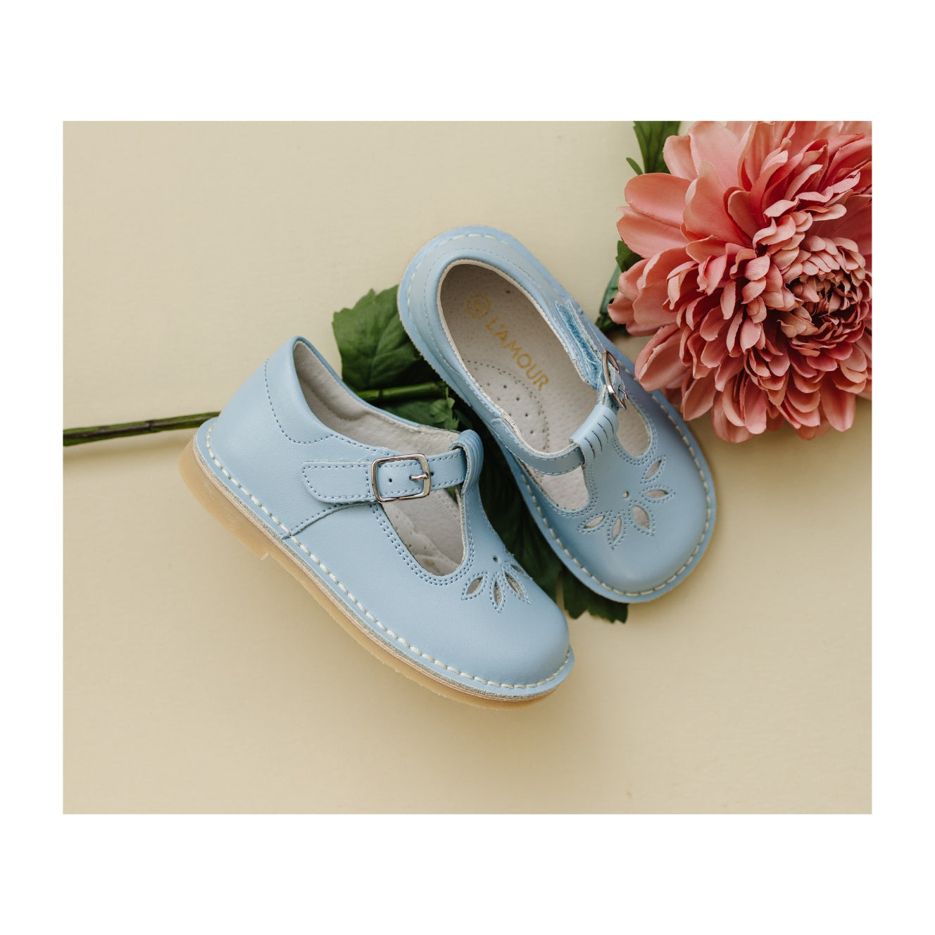 Sienna Vintage Inspired Appleseed Mary Jane