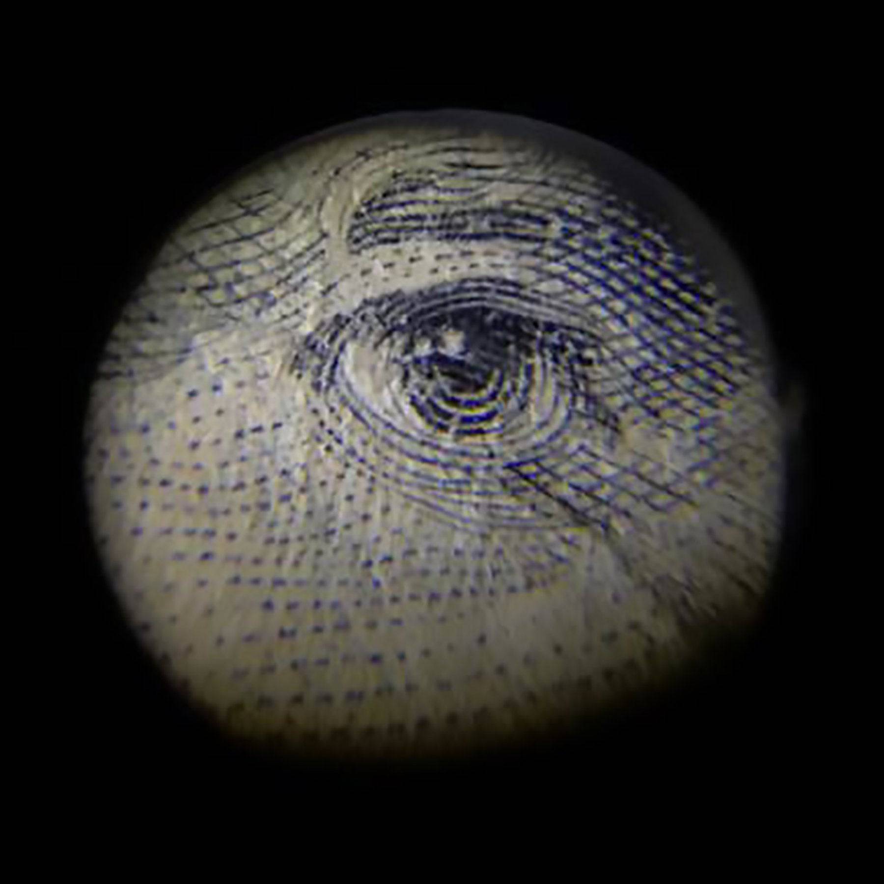 Explore It! Handheld Microscope