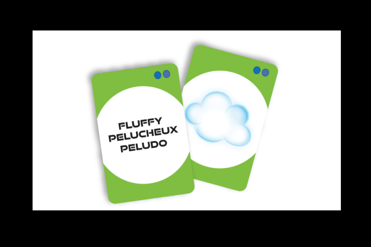 Search Wiz Scavenger Hunt Card Game