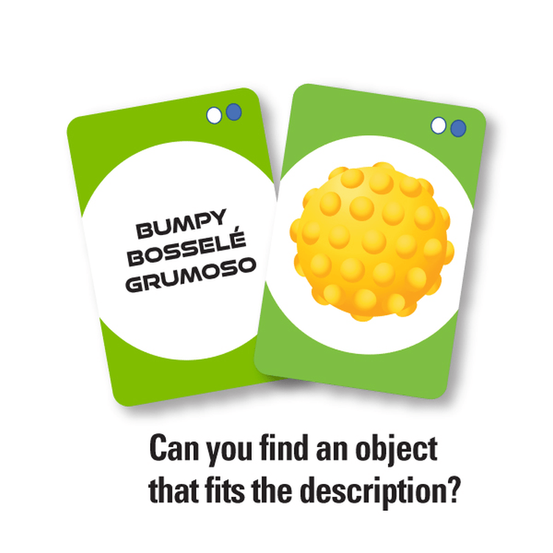 Search Wiz Scavenger Hunt Card Game