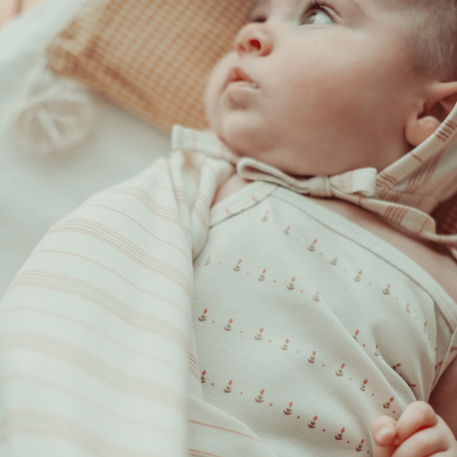 The Printed Blanket - Mist Stripe