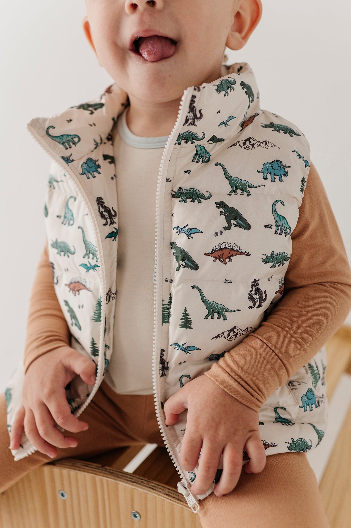 Kids Puffer Vest In Dino Land