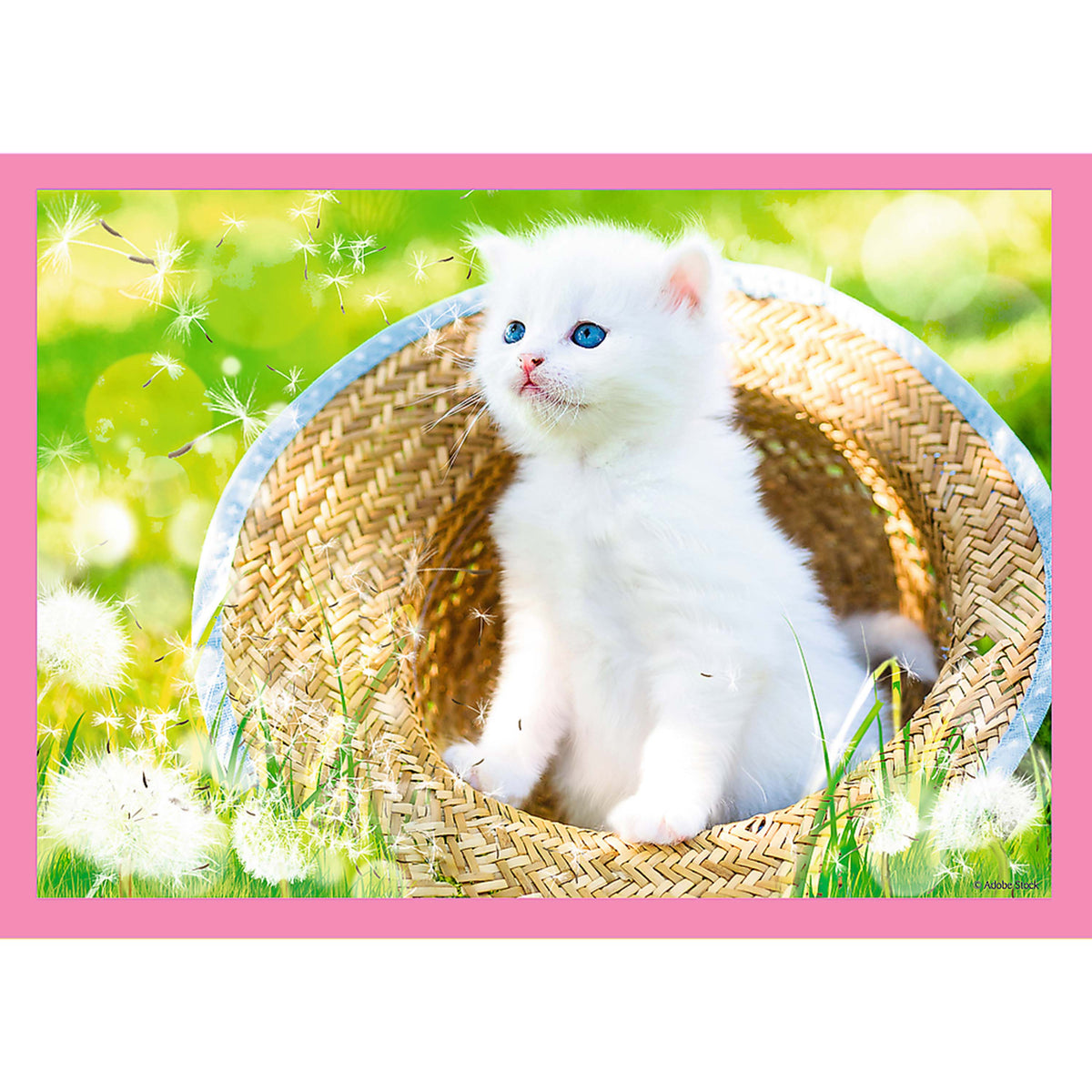 Preschool 4 In 1 Puzzle - Fun Cats