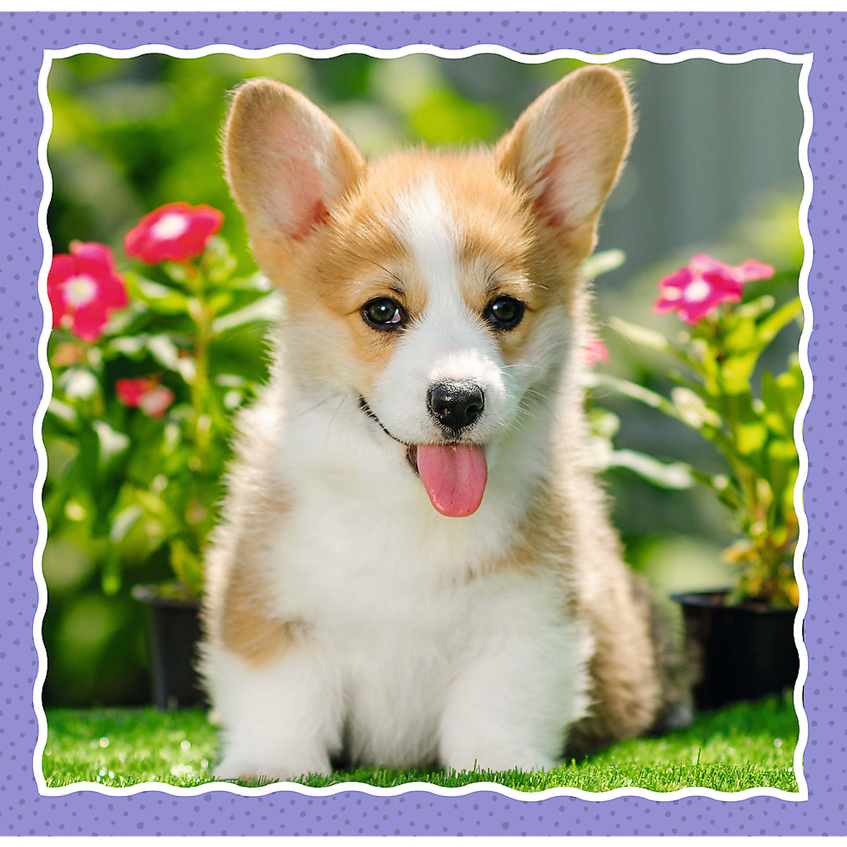Preschool 3 In 1 Puzzle - Lovely Dogs